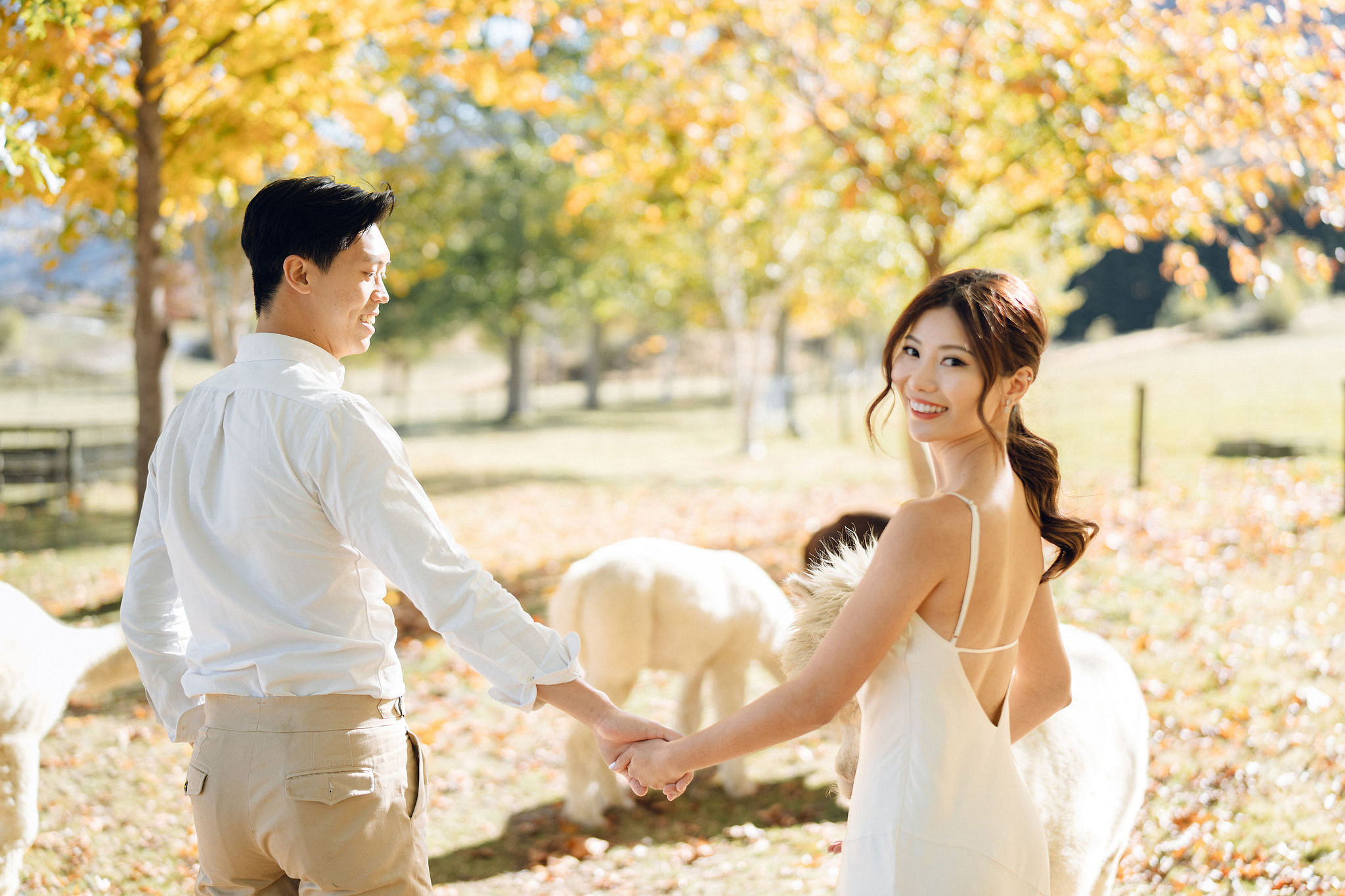 New Zealand Autumn Pre-Wedding Photoshoot Twin Peak Skippers Canyon Alpaca Farm Hilltop Cardrona Night Shoot Kombi Van at Alpaca Farm pre-wedding photo