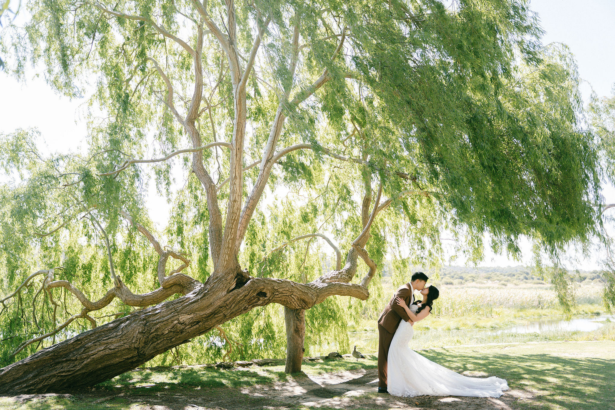 Perth Pre-Wedding Photoshoot | Wanneroo Pines, Yanchep National Park, Lancelin & Lancelin Beach at Yanchep National Park pre-wedding photo