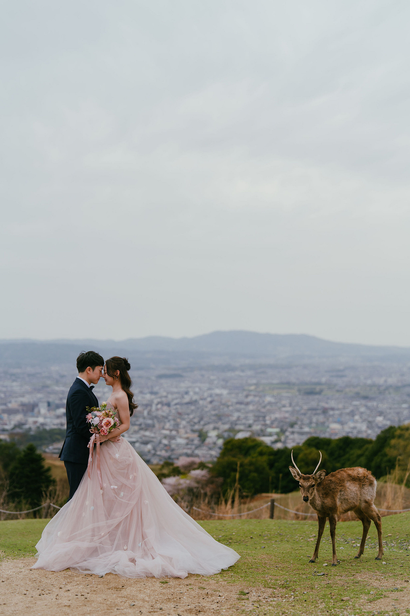 Kyoto Pre-Wedding Photoshoot | Fushimi Inari, Nara Deer Park & Mt. Wakakusa at Mt. Wakakusa pre-wedding photo