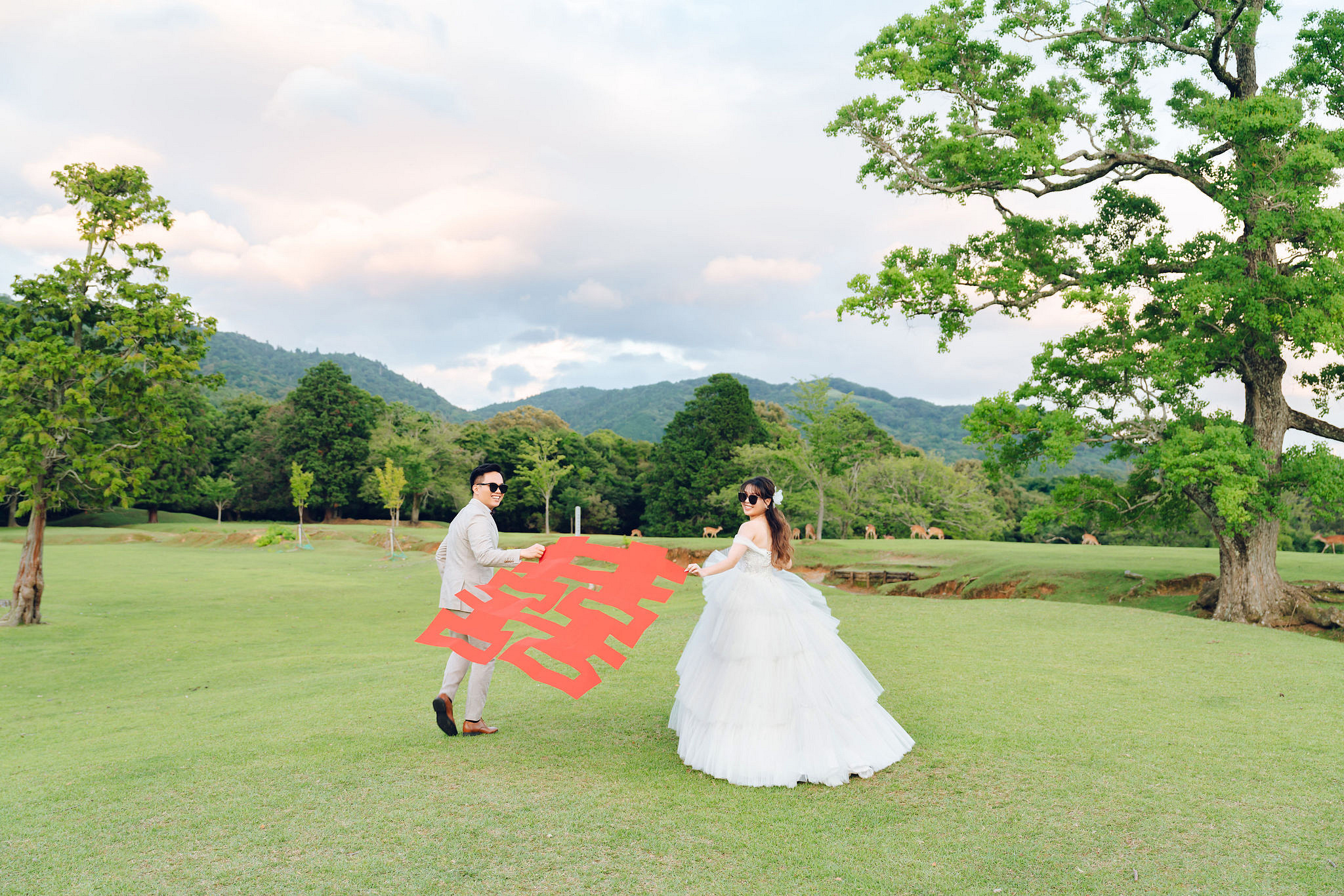 Kyoto Pre-Wedding Photoshoot | Gion Streets, Higashiyama & Nara Park at Nara Park Lawns pre-wedding photo