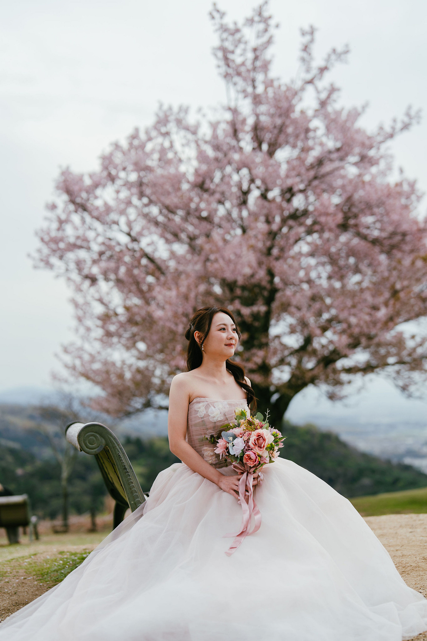 Kyoto Pre-Wedding Photoshoot | Fushimi Inari, Nara Deer Park & Mt. Wakakusa at Mt. Wakakusa pre-wedding photo