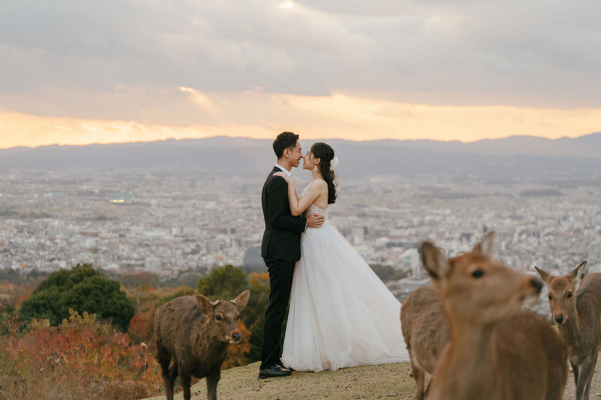 Kyoto Pre-Wedding Photoshoot | Gion Streets & Fushimi Inari Shrine & Nara Park at Nara Park & Mount Wakakusa pre-wedding photo