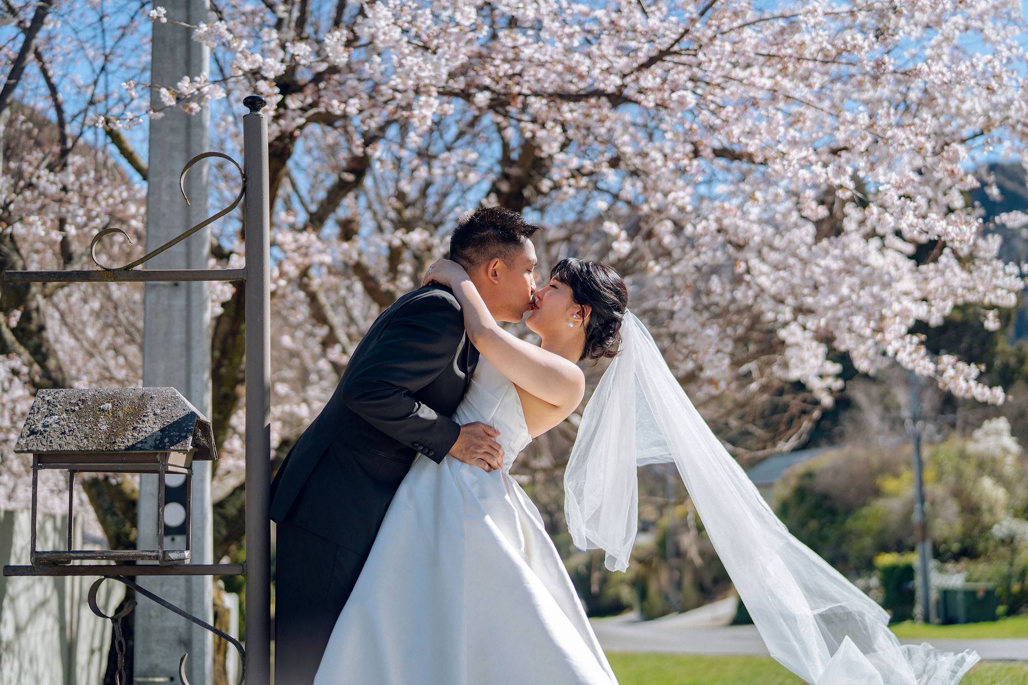 New Zealand Pre-Wedding Photoshoot | Lake Tekapo, Mount Cook, Tasman Glacier & Lake Wakatipu at Spring Blossom Path pre-wedding photo