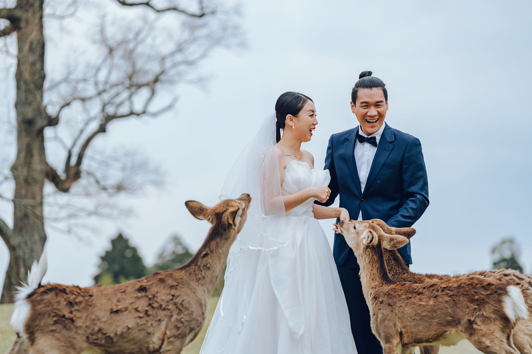 Kyoto Pre-Wedding Photoshoot | Historic Higashiyama Streets, Keage Incline & Nara Park at Nara Park pre-wedding photo
