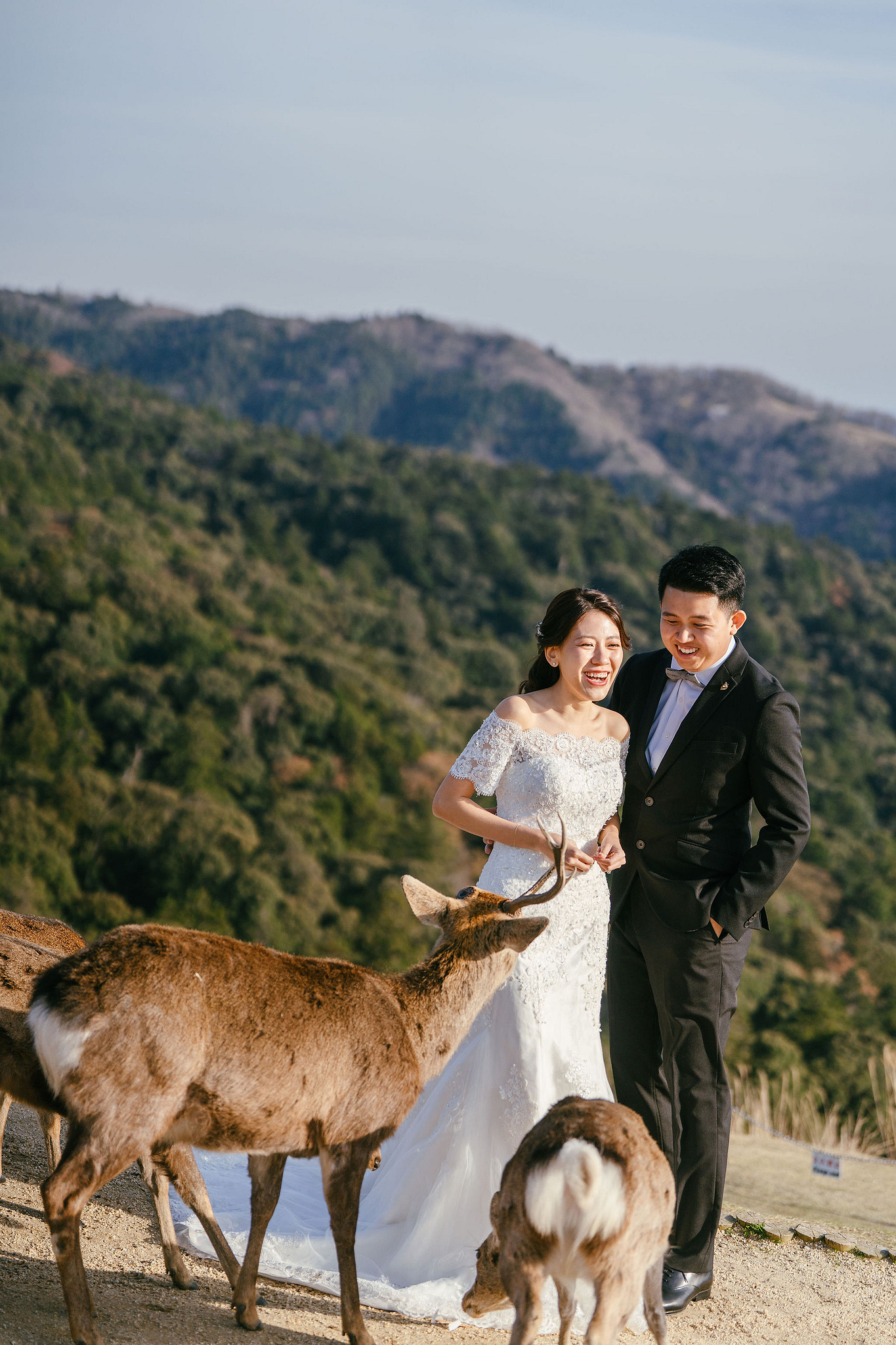 Kyoto Pre-Wedding Photoshoot | Nara Park, Gion & Mount Wakakusa at Mount Wakakusa pre-wedding photo