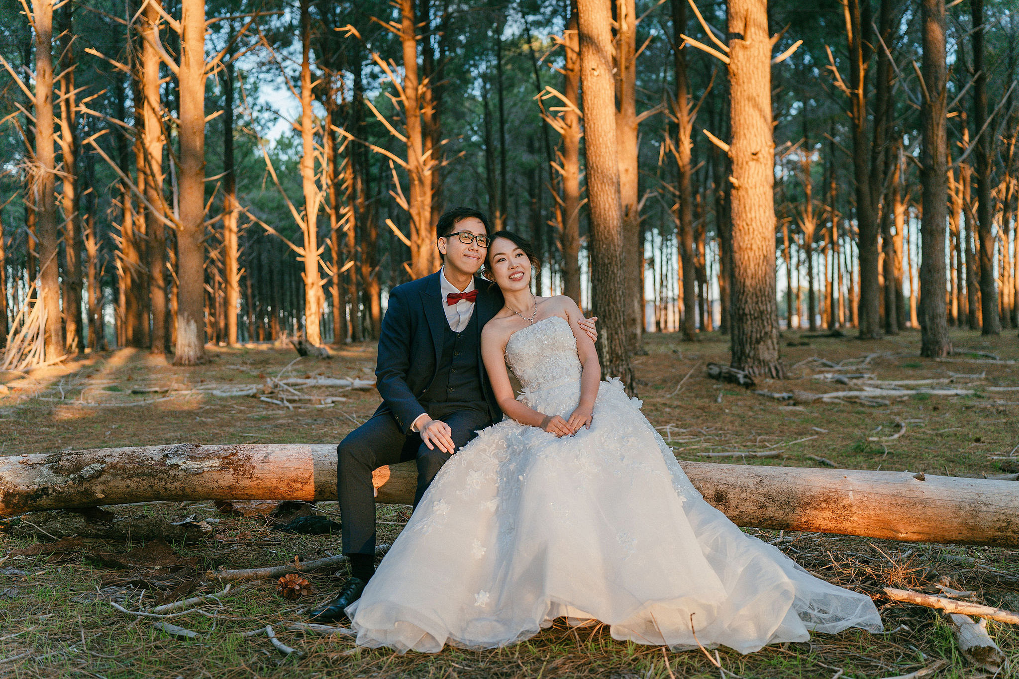 Perth Pre-Wedding Photoshoot | State Buildings & Wanneroo Pines at Wanneroo Pines pre-wedding photo