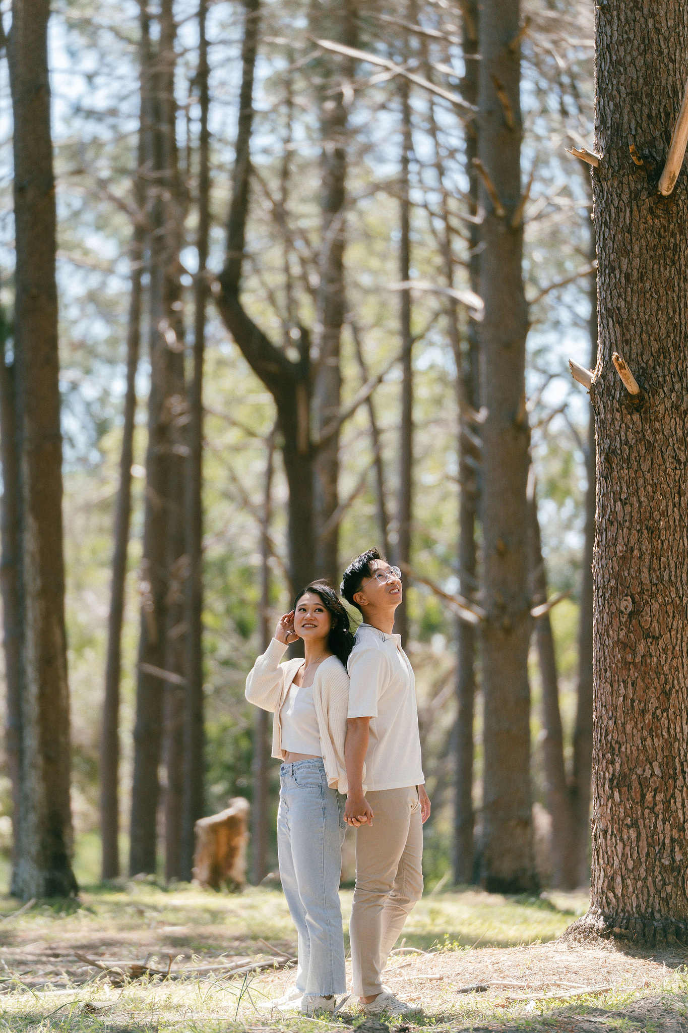 Perth Pre-Wedding Photoshoot | Wanneroo Pines, Yanchep National Park, Lancelin & Lancelin Beach at Wanneroo Pines pre-wedding photo