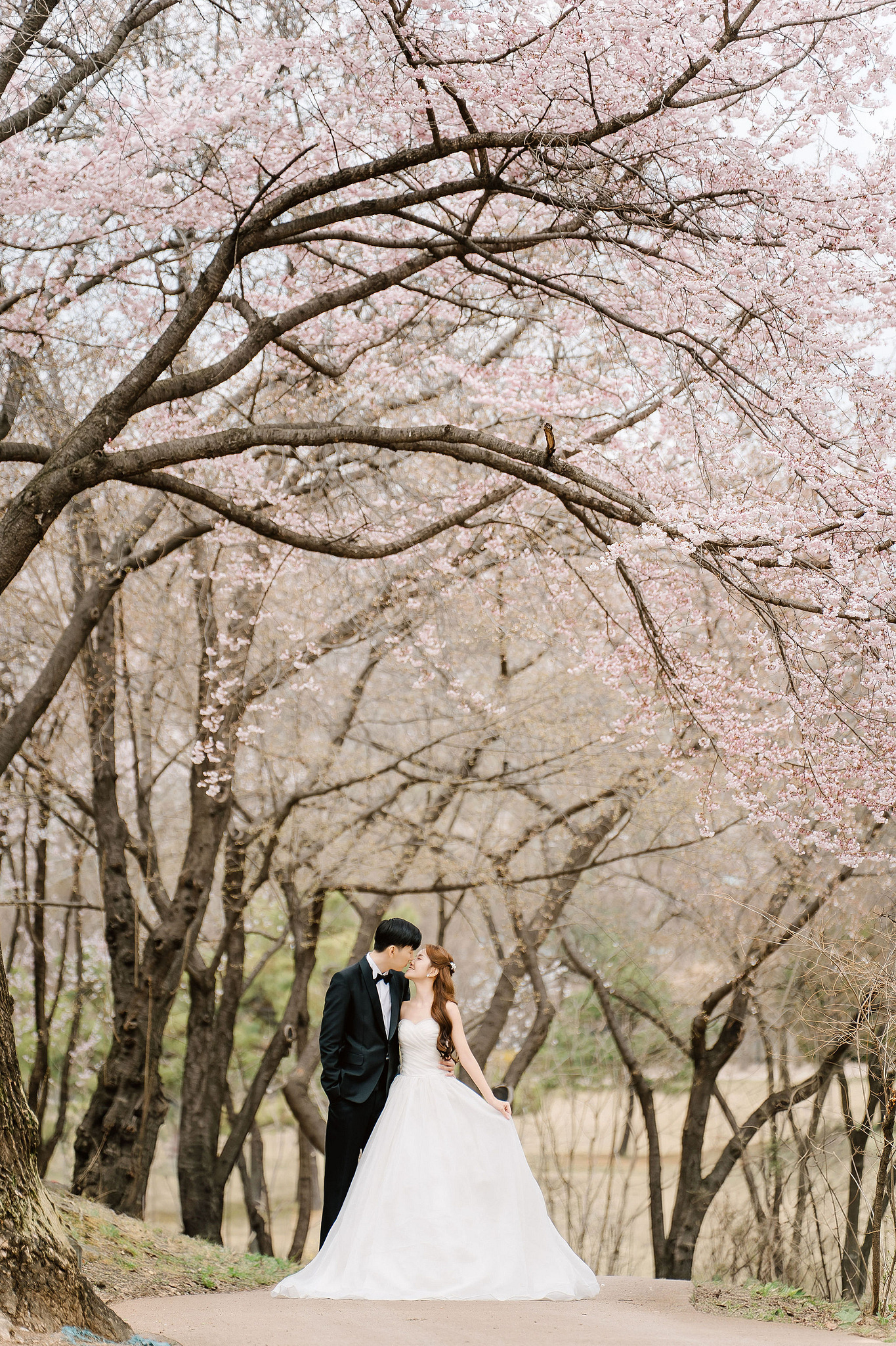 Seoul Pre-Wedding Photoshoot | Yongsan Park, Yonsei University & Kyung Hee University at Yongsan Park pre-wedding photo
