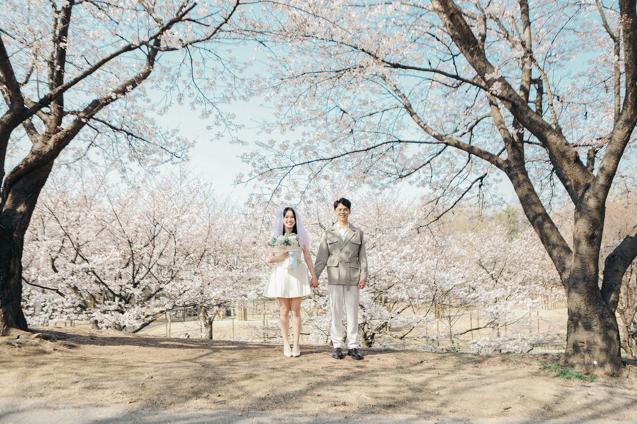 Seoul Proposal Photoshoot | Seoul Forest Pre-wedding at Seoul Forest pre-wedding photo