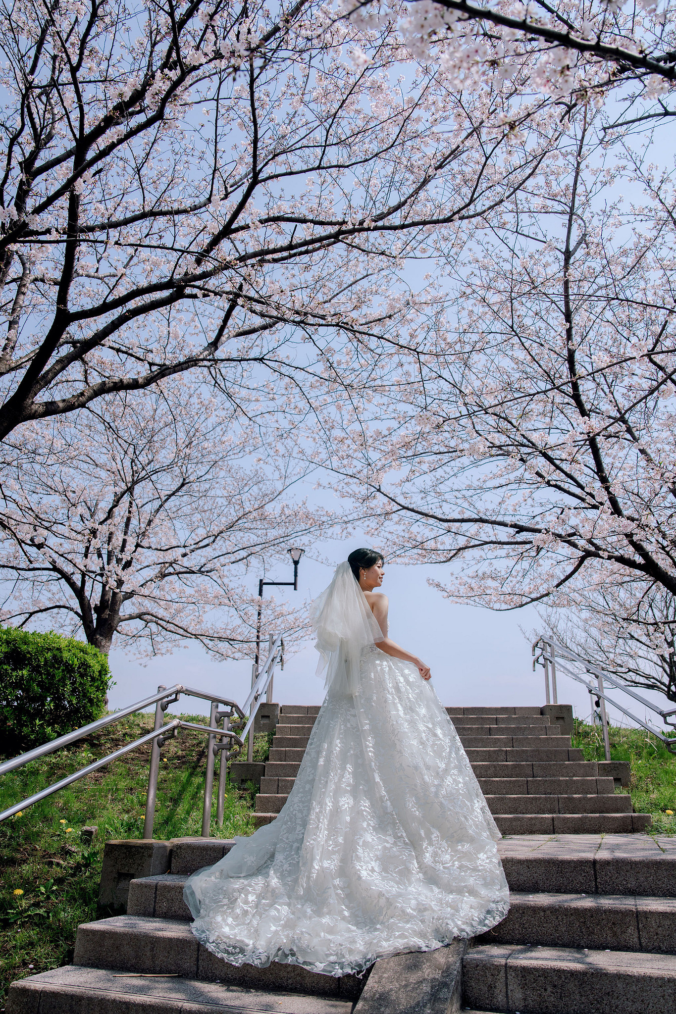 Tokyo & Mt Fuji Pre-Wedding Photoshoot | Senso-Ji Temple, Tokyo Park & Lake Kawaguchiko at Tokyo Park pre-wedding photo