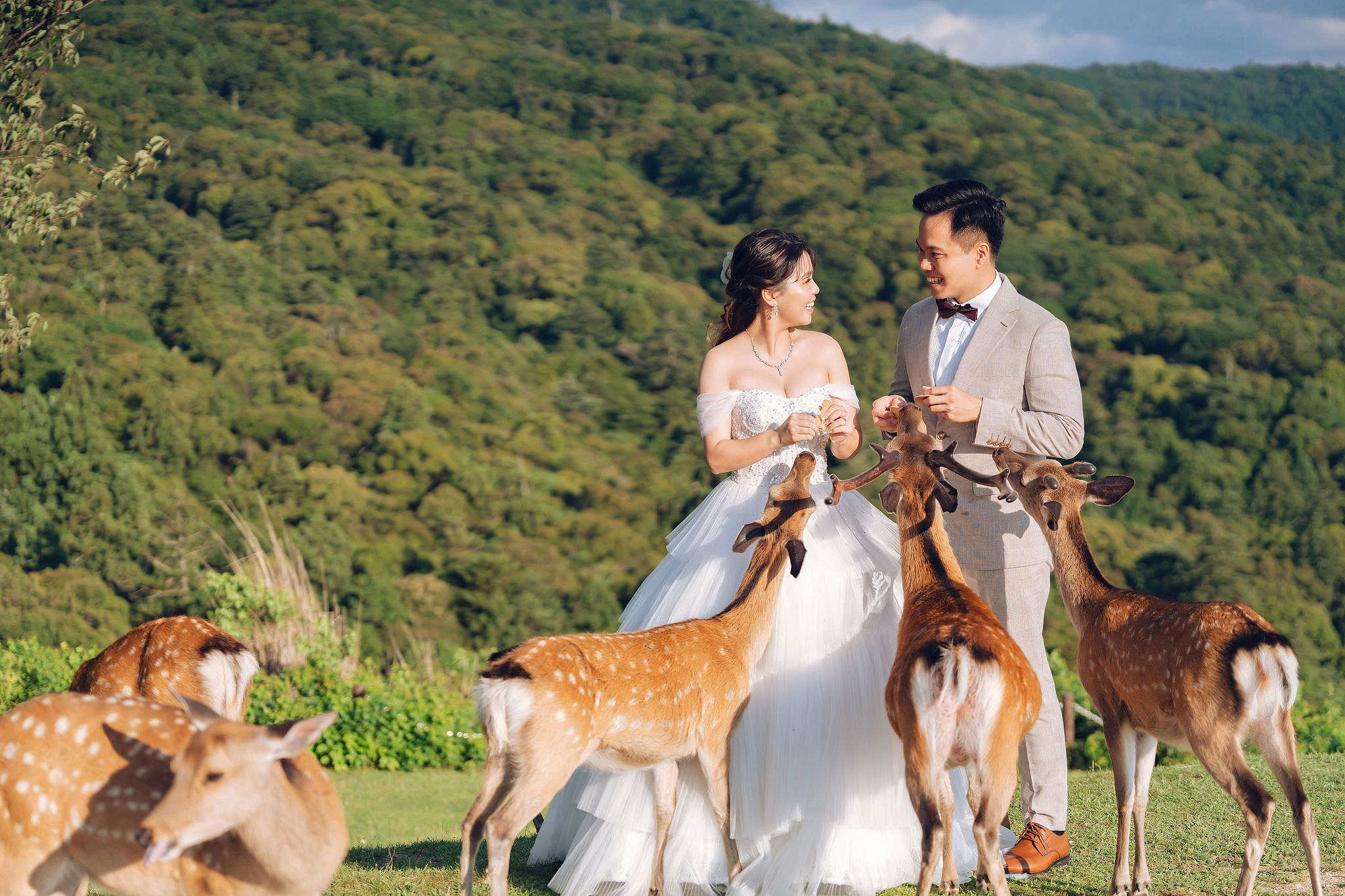 Kyoto Pre-Wedding Photoshoot | Gion Streets, Higashiyama & Nara Park at Nara Park Lawns pre-wedding photo