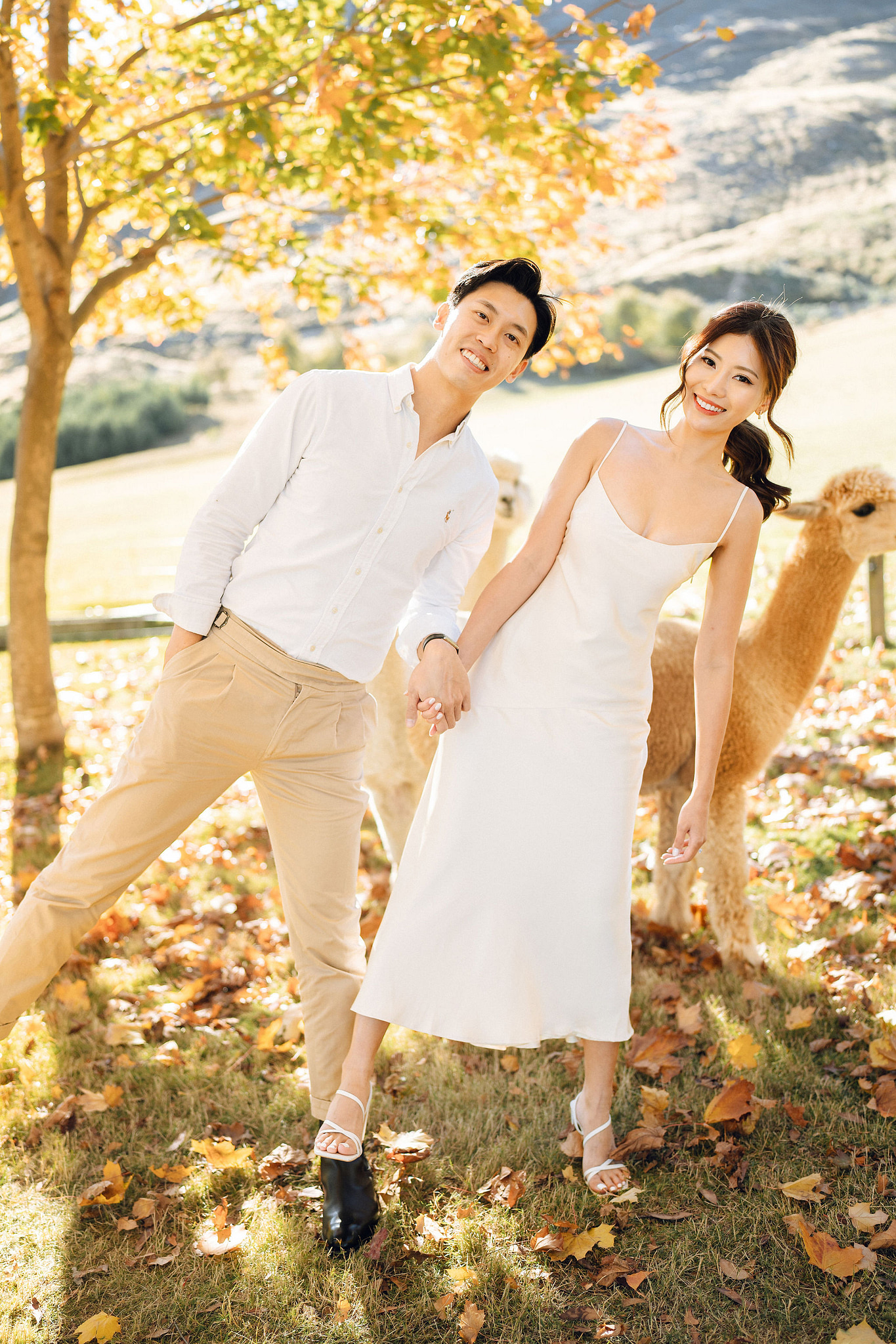 New Zealand Autumn Pre-Wedding Photoshoot Twin Peak Skippers Canyon Alpaca Farm Hilltop Cardrona Night Shoot Kombi Van at Alpaca Farm pre-wedding photo