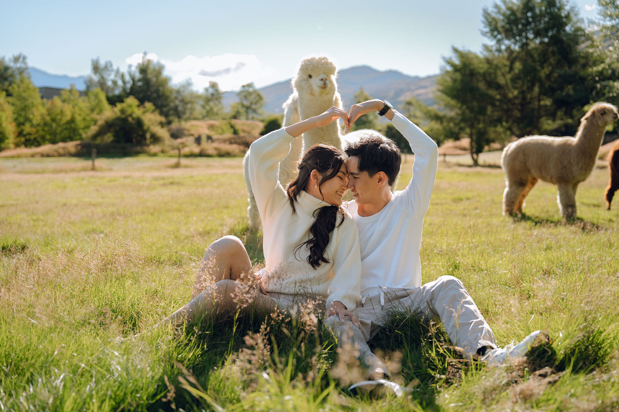 New Zealand Pre-Wedding Photoshoot | Coromandel Peak, Queenstown Highway & Alpaca Farm at Alpaca Farm pre-wedding photo
