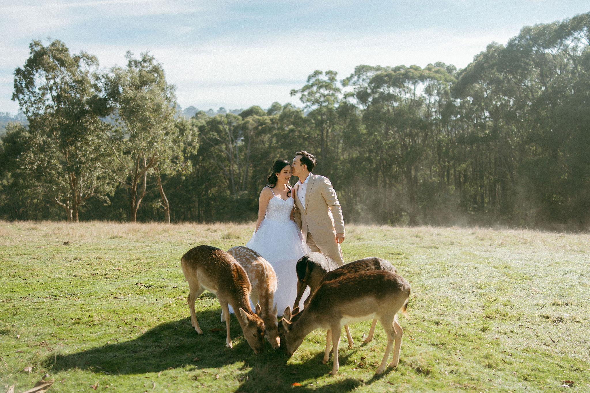 Melbourne Pre-Wedding Photoshoot | Gum Gully Farm, Studley Park & Carlton Gardens at Gum Gully Farm pre-wedding photo