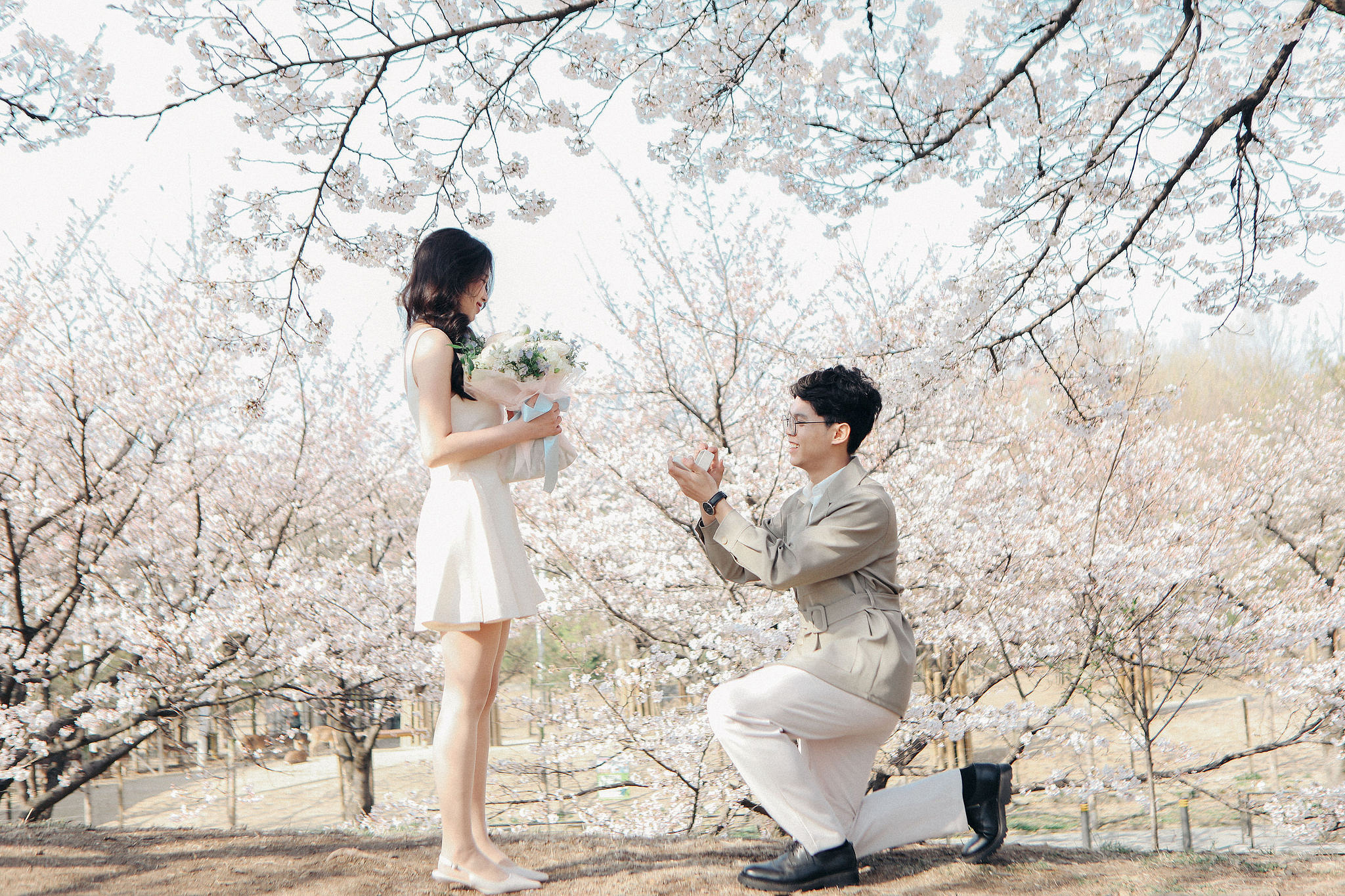 Seoul Proposal Photoshoot | Seoul Forest Pre-wedding at Seoul Forest pre-wedding photo