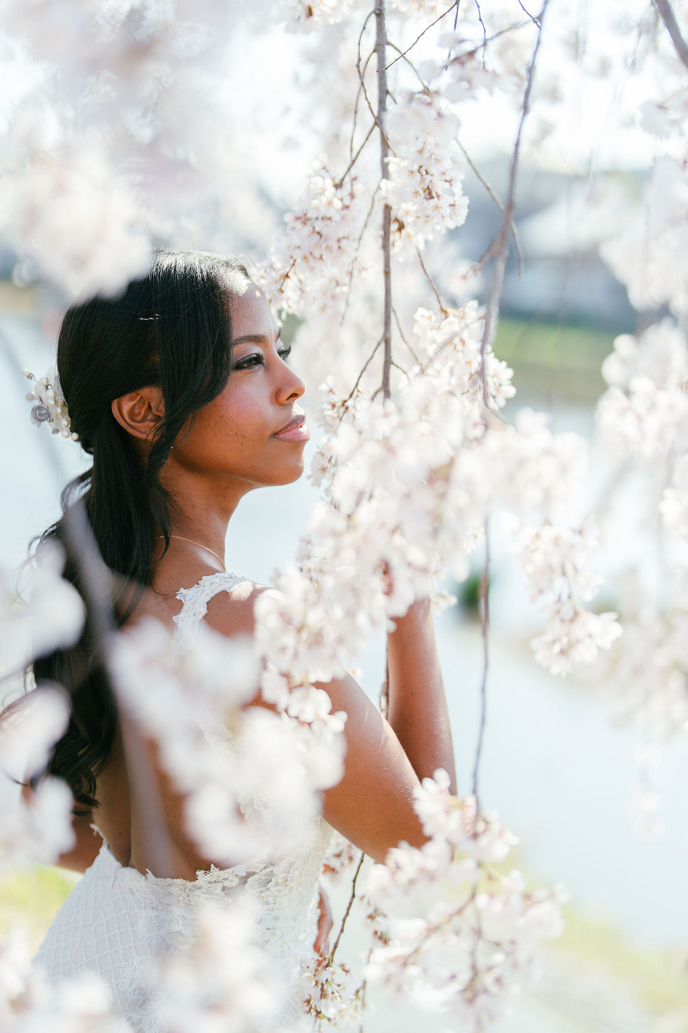 Kyoto Post-Wedding Photoshoot | Gion, Nara Deer Park & Mt. Wakakusa at Nara Deer Park pre-wedding photo