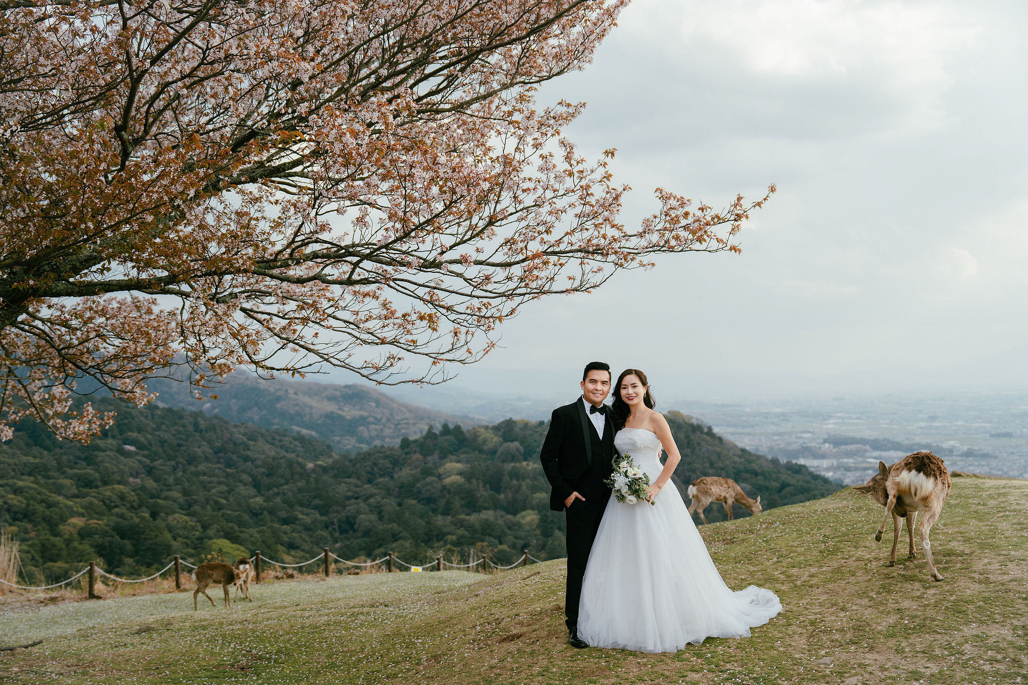 Kyoto Pre-Wedding Photoshoot | Gion Canal, Ninenzaka & Mount Wakakusa at Mount Wakakusa, Nara pre-wedding photo