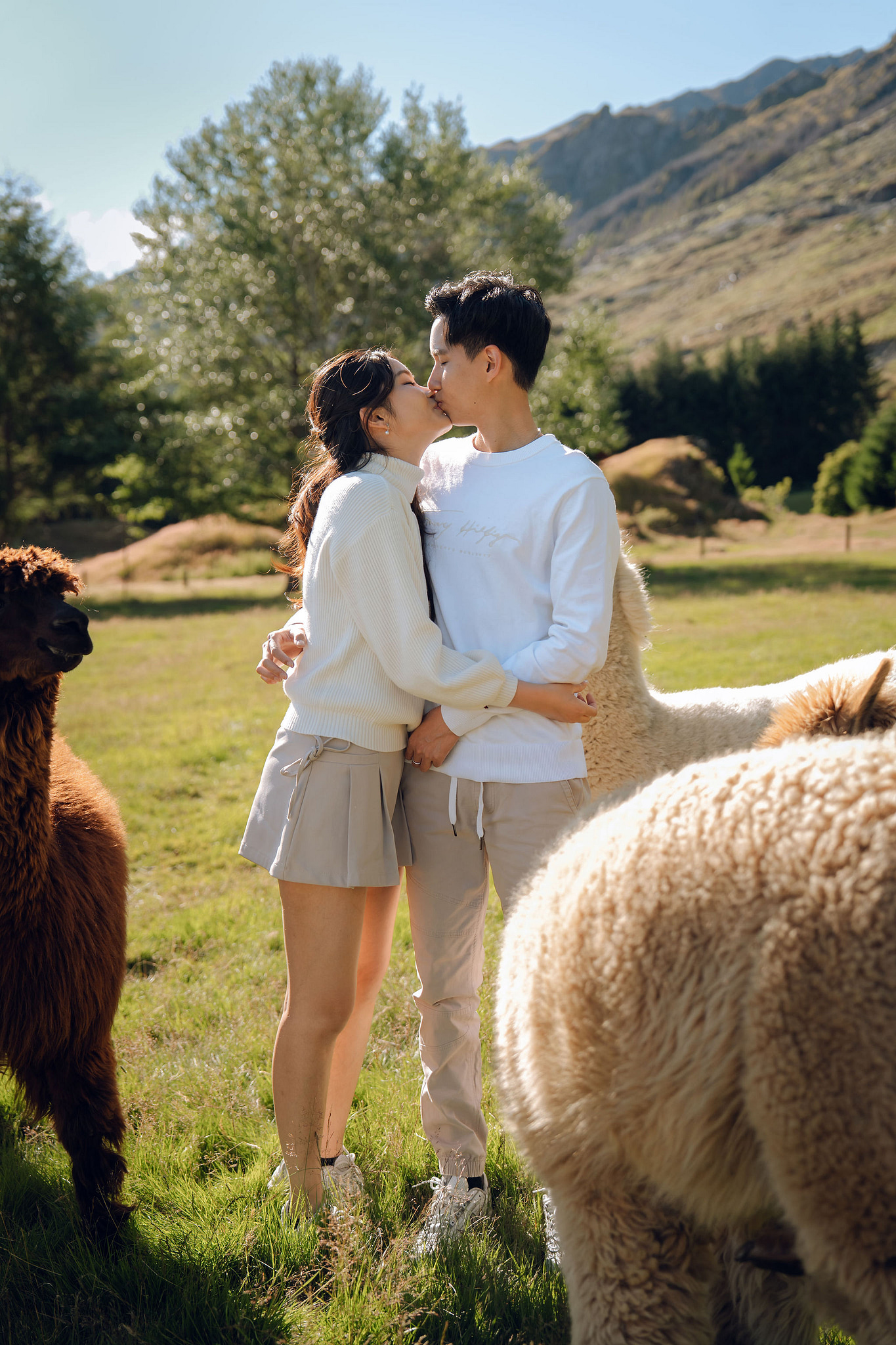 New Zealand Pre-Wedding Photoshoot | Coromandel Peak, Queenstown Highway & Alpaca Farm at Alpaca Farm pre-wedding photo