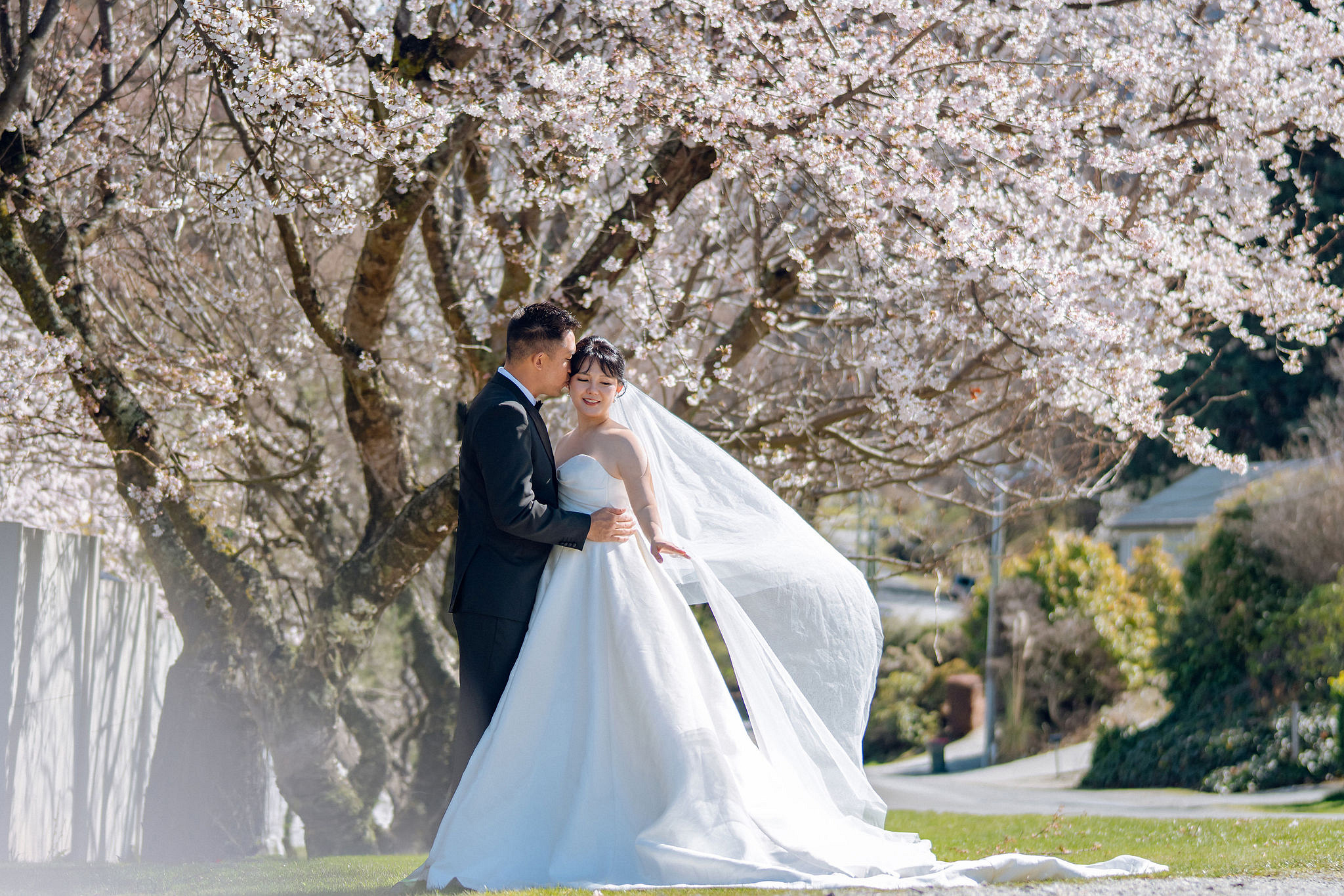 New Zealand Pre-Wedding Photoshoot | Lake Tekapo, Mount Cook, Tasman Glacier & Lake Wakatipu at Spring Blossom Path pre-wedding photo