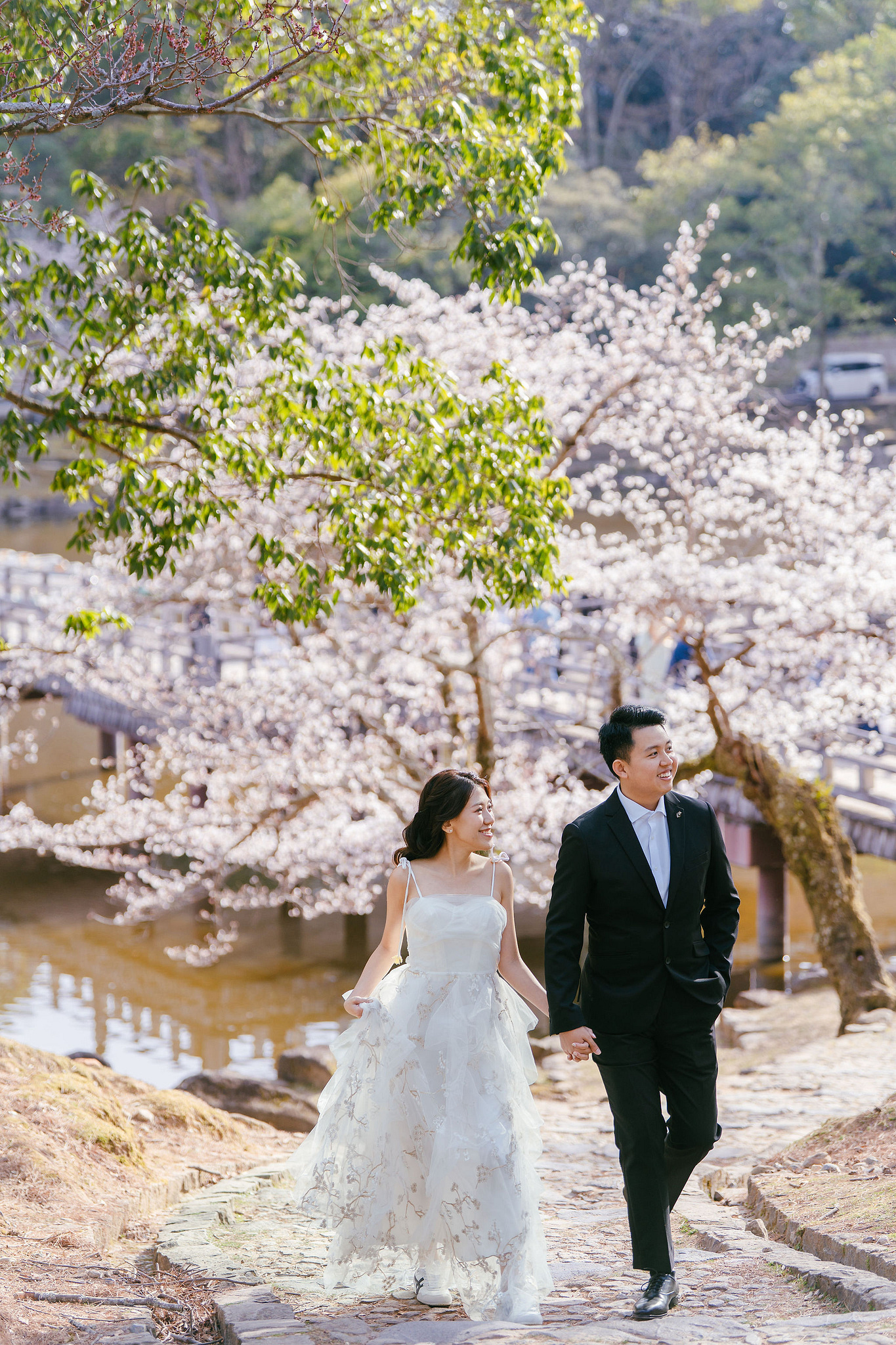 Kyoto Pre-Wedding Photoshoot | Nara Park, Gion & Mount Wakakusa at Nara Park pre-wedding photo
