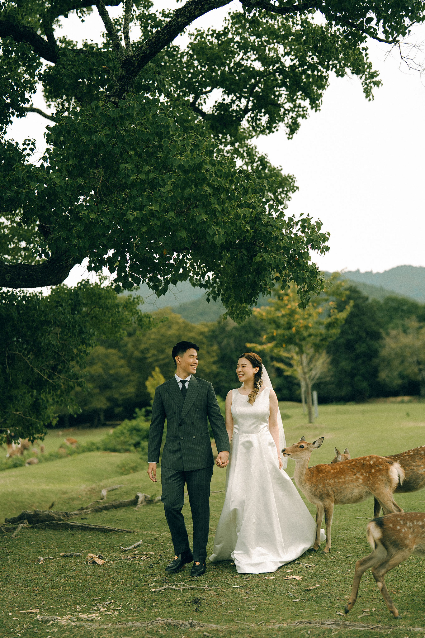 Kyoto Pre-Wedding Photoshoot | Fushimi Inari, Gion & Nara Park at Nara Park & Surrounding Hills pre-wedding photo