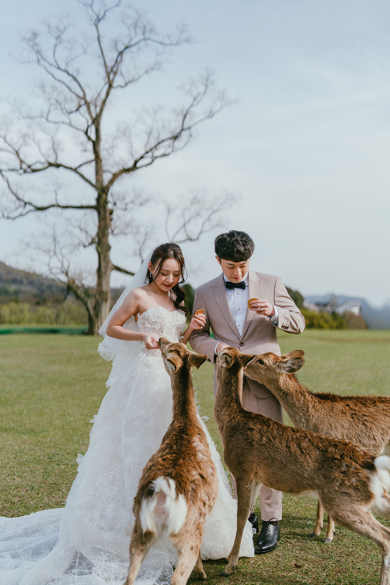 Kyoto Pre-Wedding Photoshoot | Fushimi Inari, Nara Deer Park & Mt. Wakakusa at Mt. Wakakusa pre-wedding photo