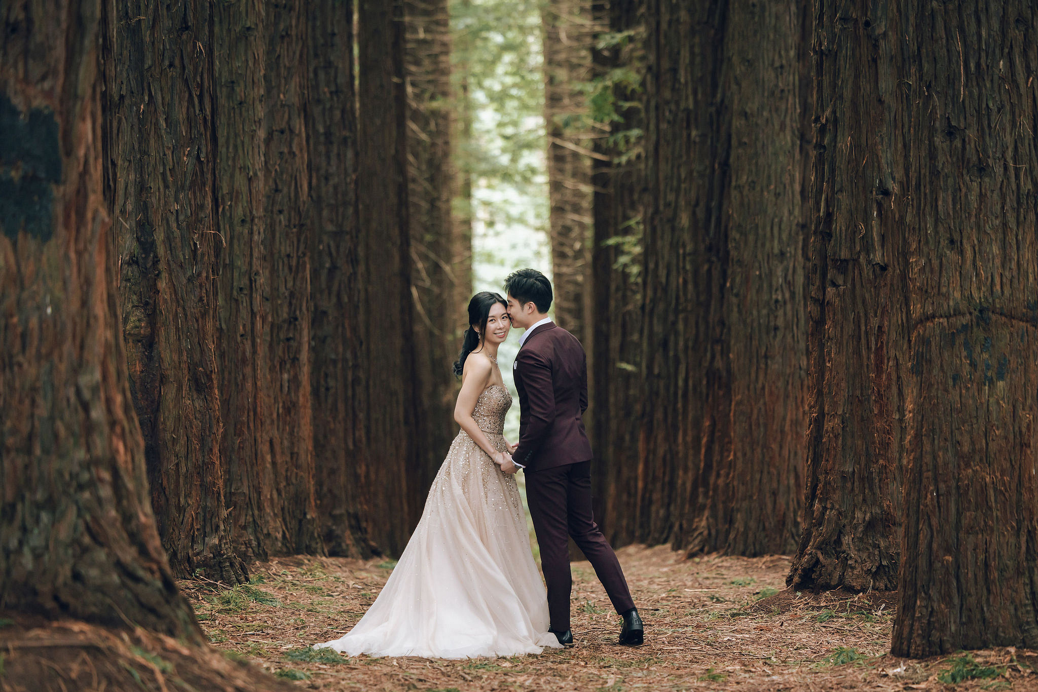 Melbourne Pre-Wedding Photoshoot | Redwood Forest, Higher Ground Cafe & Carlton Gardens at Redwood Forest pre-wedding photo