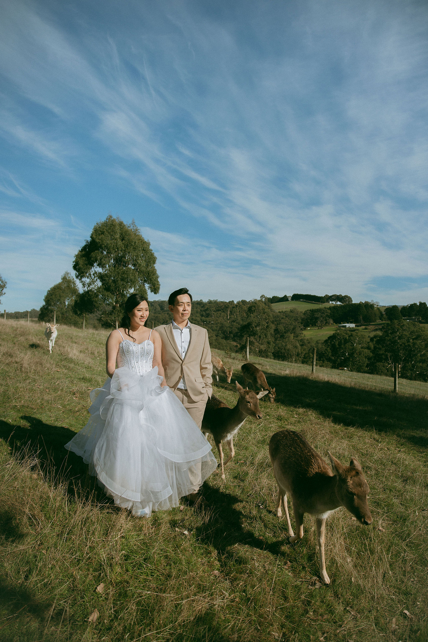 Melbourne Pre-Wedding Photoshoot | Gum Gully Farm, Studley Park & Carlton Gardens at Gum Gully Farm pre-wedding photo