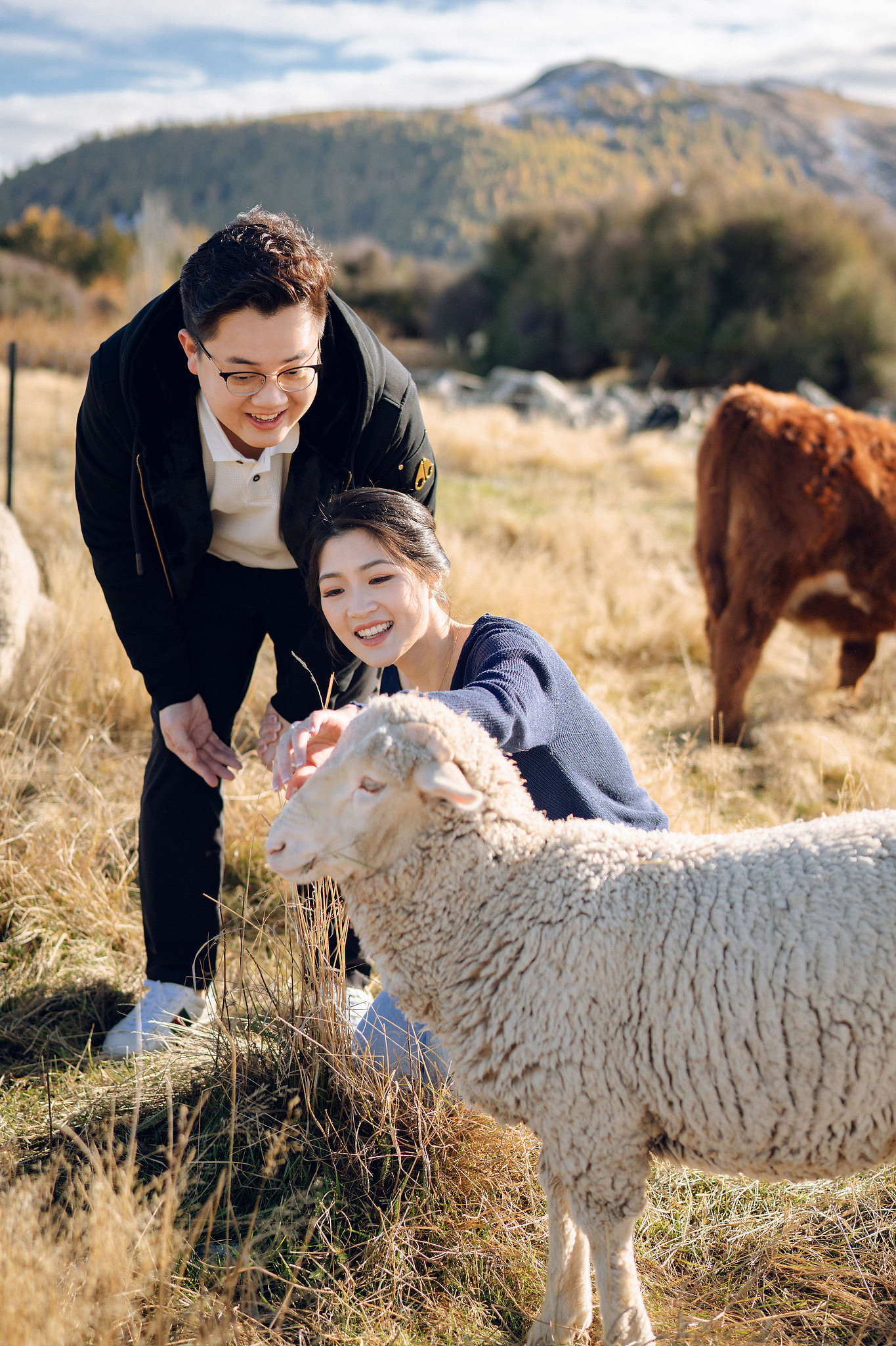 New Zealand Pre-Wedding Photoshoot | Arrowtown, Isobel Glacier, Alpaca Farm, Lake Tekapo & Mount Cook National Park at Alpaca Farm pre-wedding photo