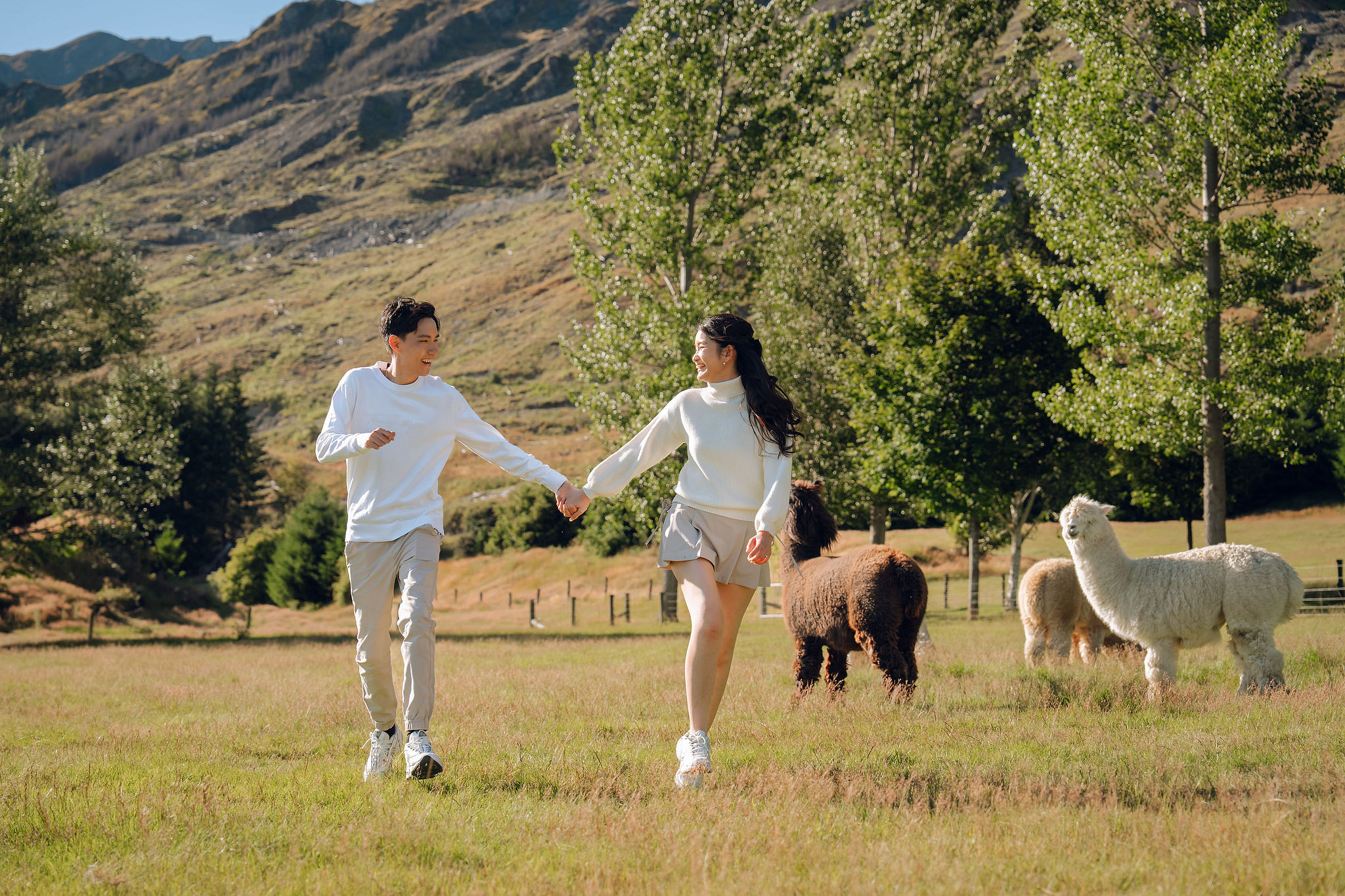 New Zealand Pre-Wedding Photoshoot | Coromandel Peak, Queenstown Highway & Alpaca Farm at Alpaca Farm pre-wedding photo