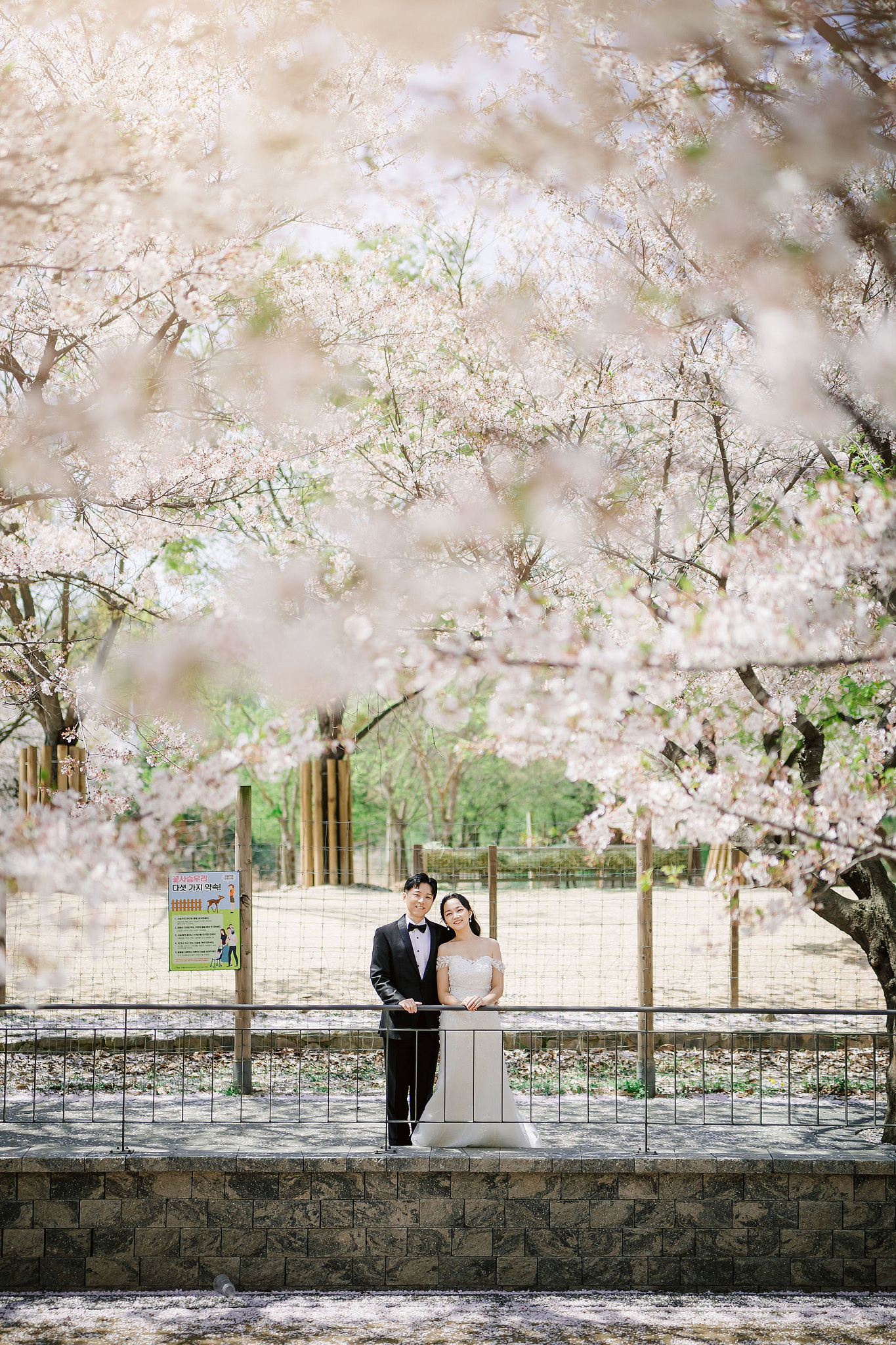 Seoul Pre-Wedding Photoshoot | Seoul Forest, Namsan Tower & Namsangol Hanok Village at Seoul Forest pre-wedding photo