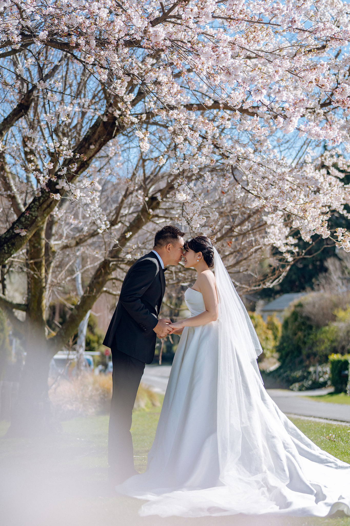 New Zealand Pre-Wedding Photoshoot | Lake Tekapo, Mount Cook, Tasman Glacier & Lake Wakatipu at Spring Blossom Path pre-wedding photo