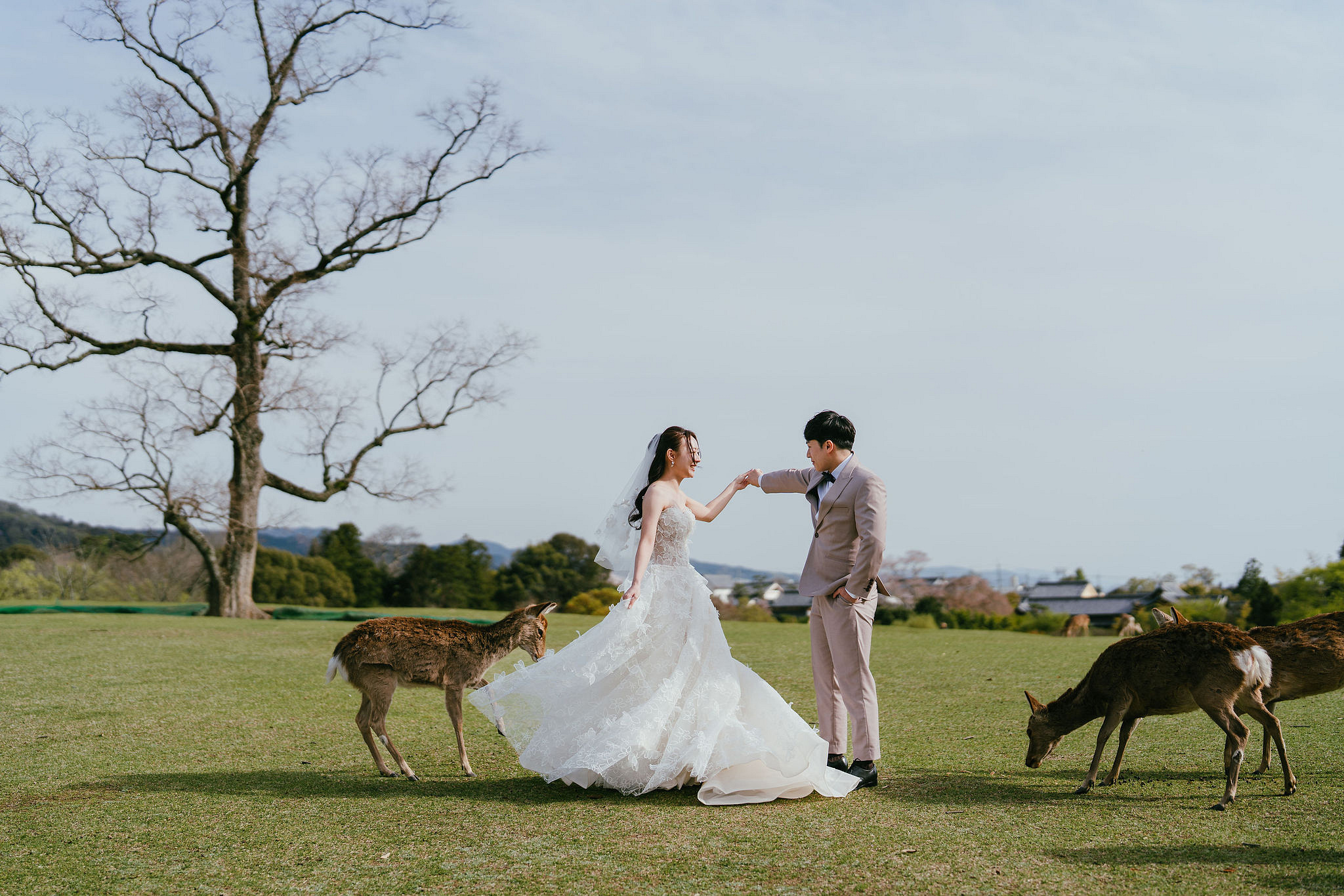 Kyoto Pre-Wedding Photoshoot | Fushimi Inari, Nara Deer Park & Mt. Wakakusa at Mt. Wakakusa pre-wedding photo