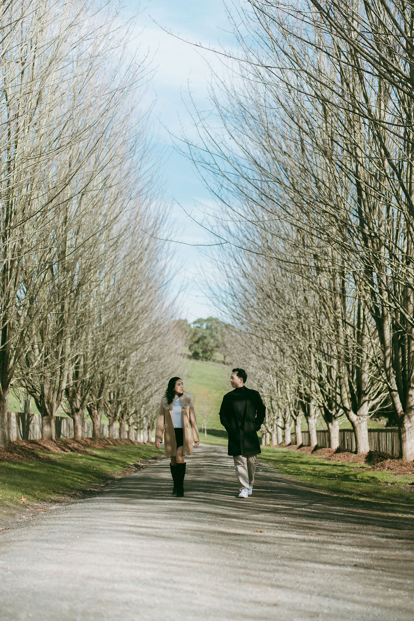 Melbourne Pre-Wedding Photoshoot | Gum Gully Farm, Studley Park & Carlton Gardens at Studley Park pre-wedding photo