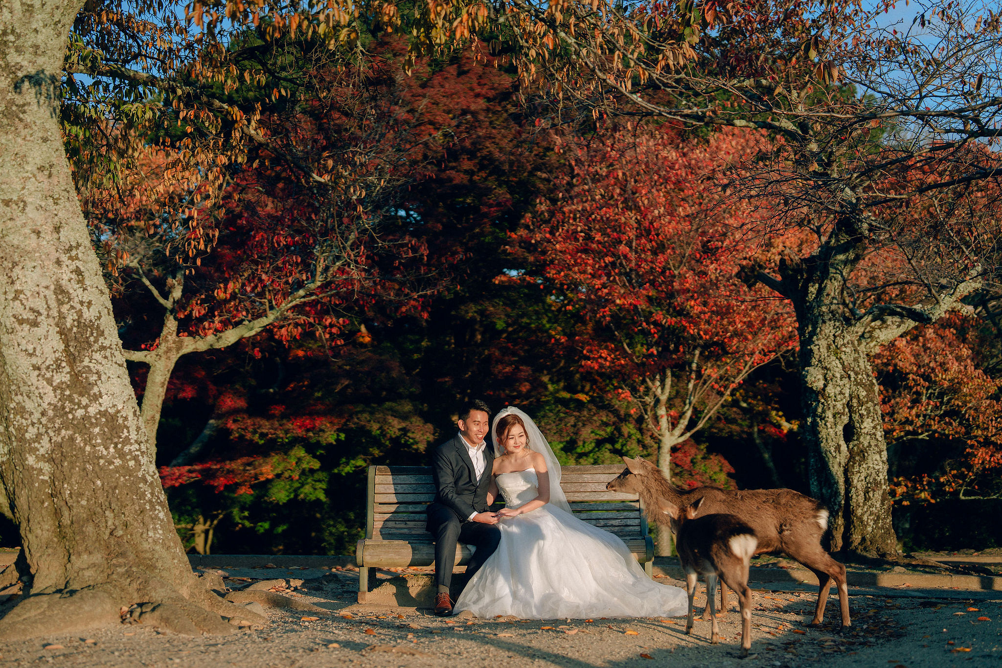 Kyoto Pre-Wedding Photoshoot | Arashiyama River, Arashiyama Temple & Mt. Wakakusa at Mt. Wakakusa pre-wedding photo