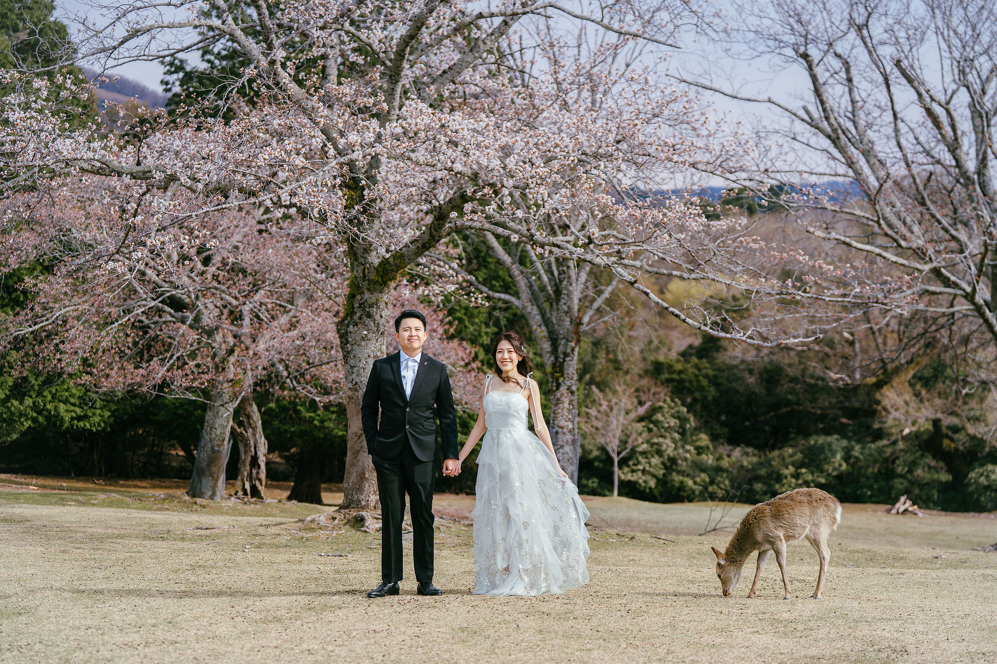 Kyoto Pre-Wedding Photoshoot | Nara Park, Gion & Mount Wakakusa at Nara Park pre-wedding photo