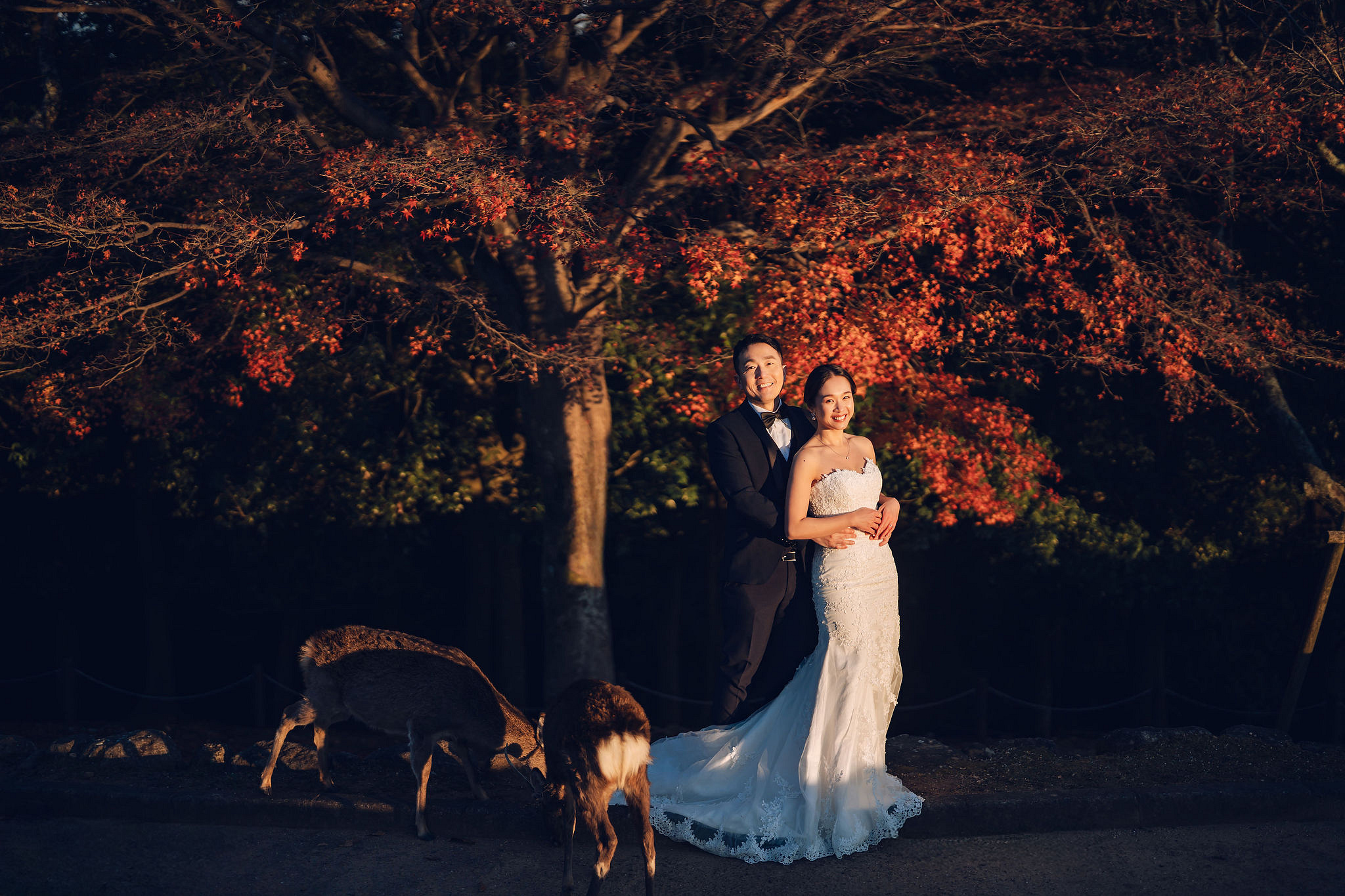 Kyoto Pre-Wedding Photoshoot | Historic Pagoda Streets & Nara Grasslands at Nara Grasslands & Rolling Hills pre-wedding photo