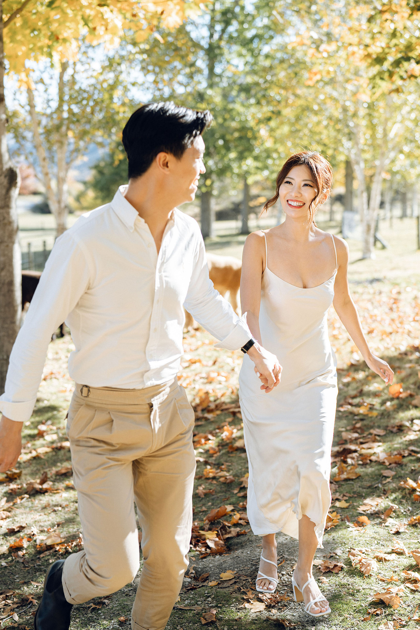 New Zealand Autumn Pre-Wedding Photoshoot Twin Peak Skippers Canyon Alpaca Farm Hilltop Cardrona Night Shoot Kombi Van at Alpaca Farm pre-wedding photo