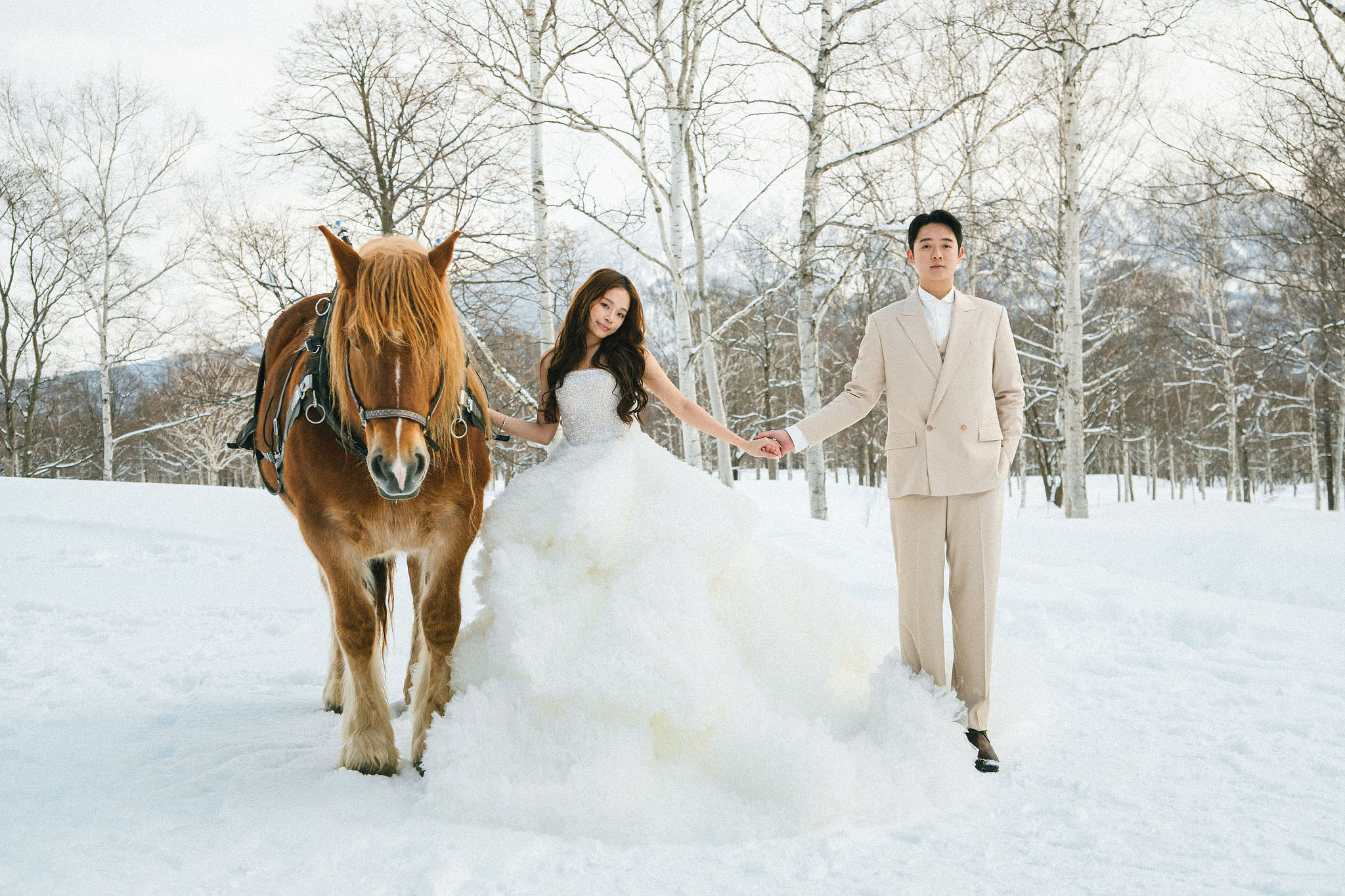 Hokkaido Pre-Wedding Photoshoot | Birch Forest, Rusutsu Resort & Hirafu Village at Birch Forest pre-wedding photo
