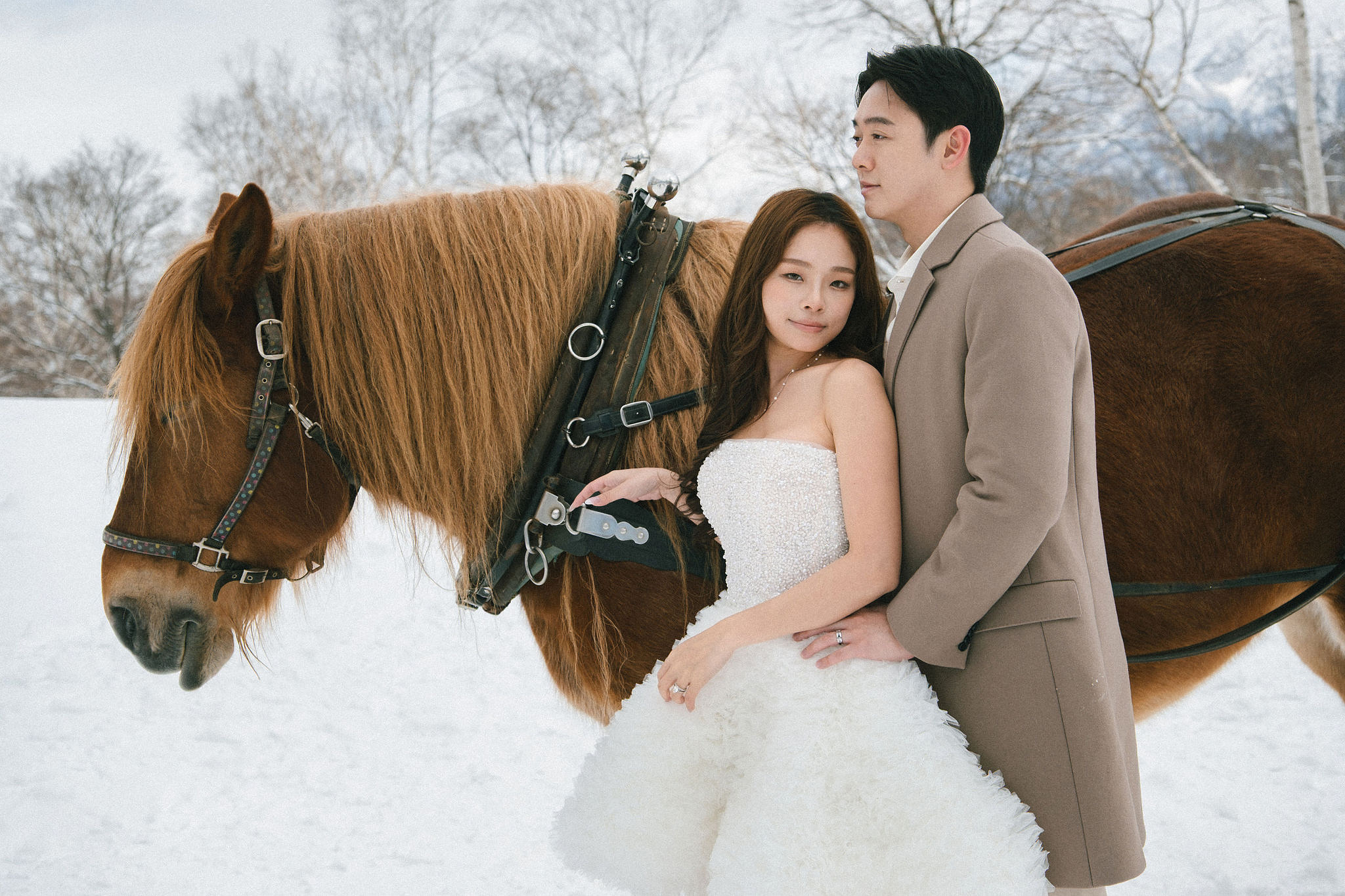 Hokkaido Pre-Wedding Photoshoot | Birch Forest, Rusutsu Resort & Hirafu Village at Birch Forest pre-wedding photo