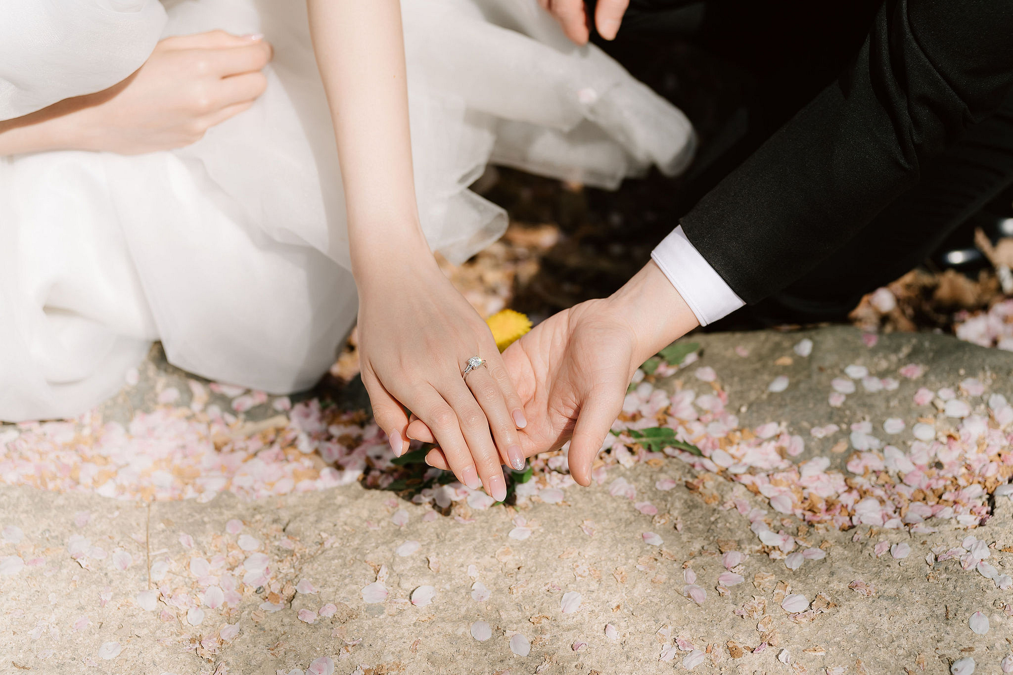 Seoul Pre-Wedding Photoshoot | Seoul Forest, Namsangol Hanok Village & Samcheong-dong at Seoul Forest pre-wedding photo