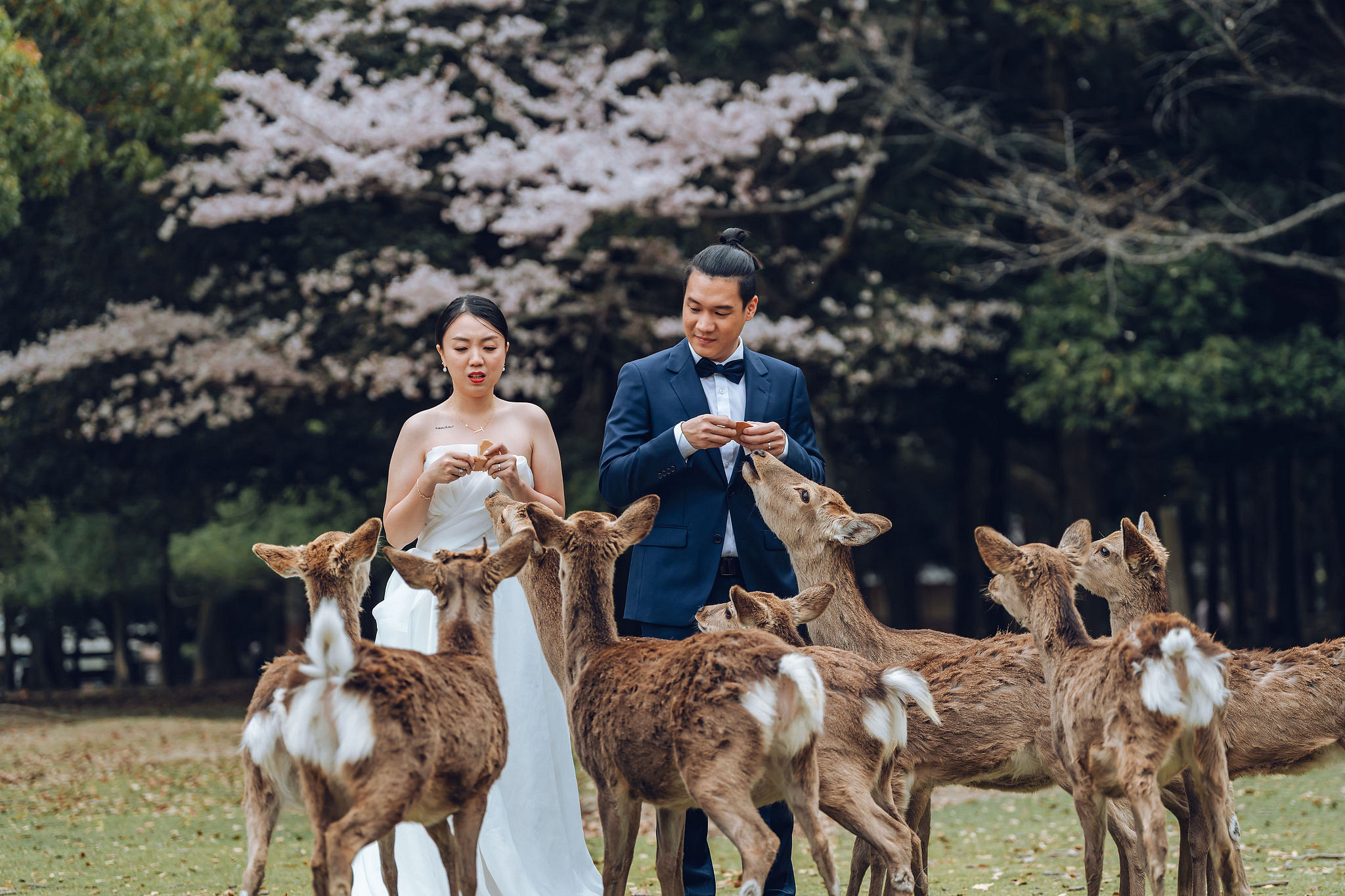Kyoto Pre-Wedding Photoshoot | Historic Higashiyama Streets, Keage Incline & Nara Park at Nara Park pre-wedding photo