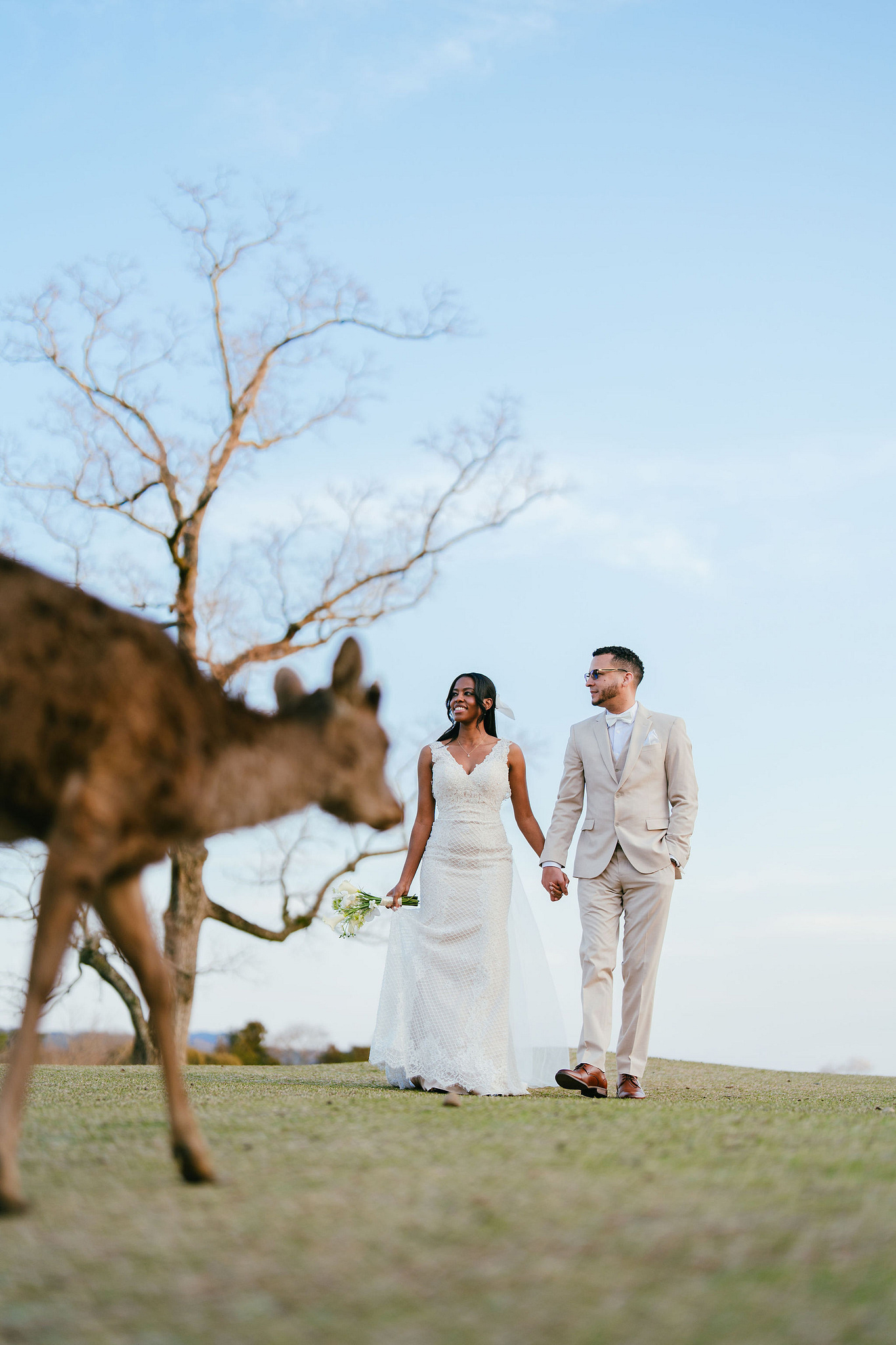 Kyoto Post-Wedding Photoshoot | Gion, Nara Deer Park & Mt. Wakakusa at Wakakusa pre-wedding photo