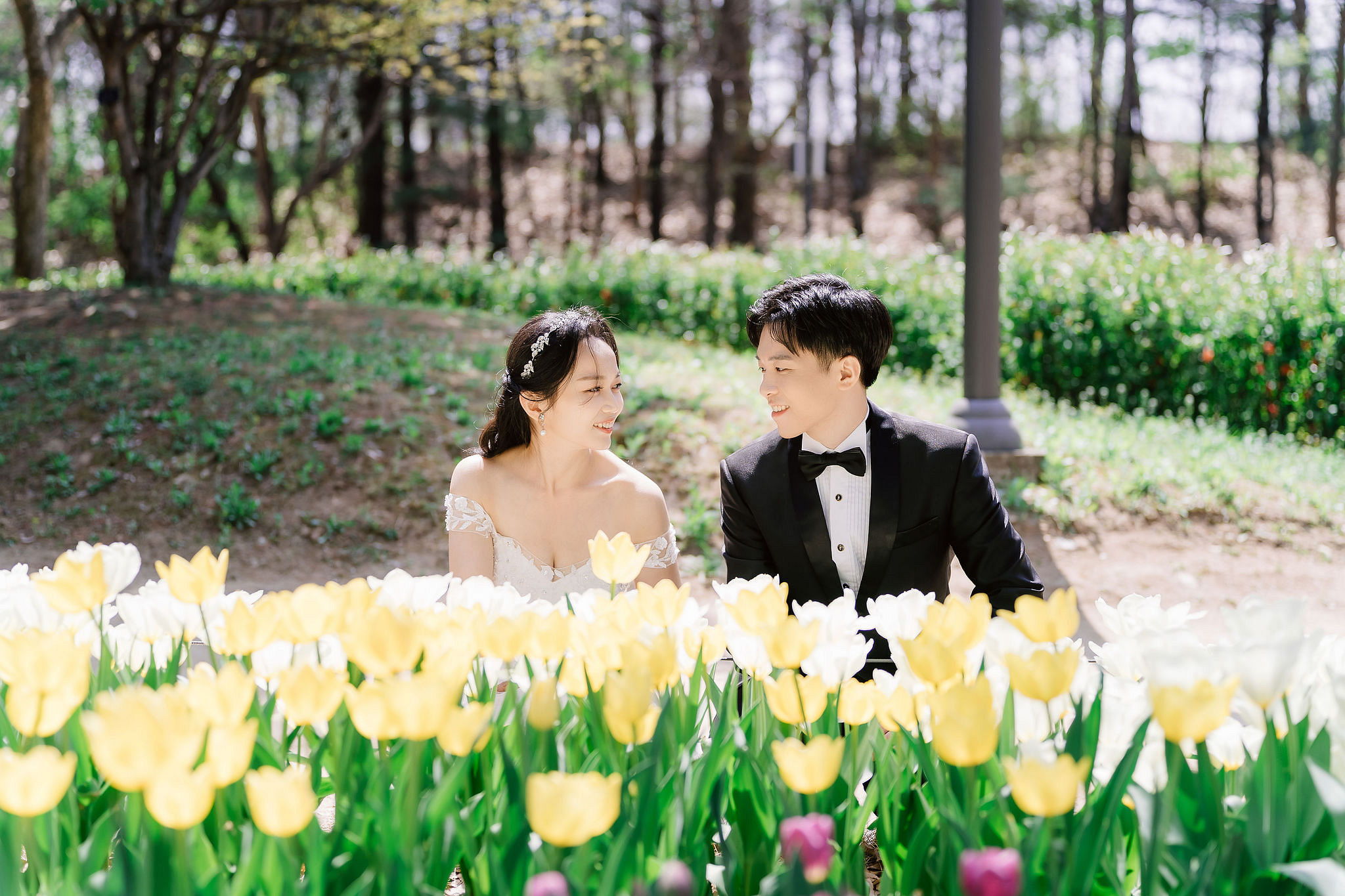 Seoul Pre-Wedding Photoshoot | Seoul Forest, Namsan Tower & Namsangol Hanok Village at Seoul Forest pre-wedding photo