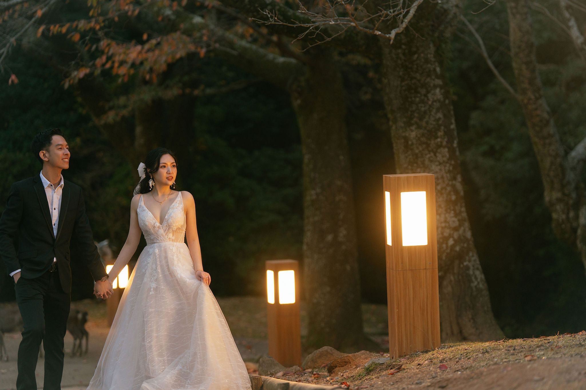 Kyoto Pre-Wedding Photoshoot | Gion Streets & Fushimi Inari Shrine & Nara Park at Nara Park & Mount Wakakusa pre-wedding photo