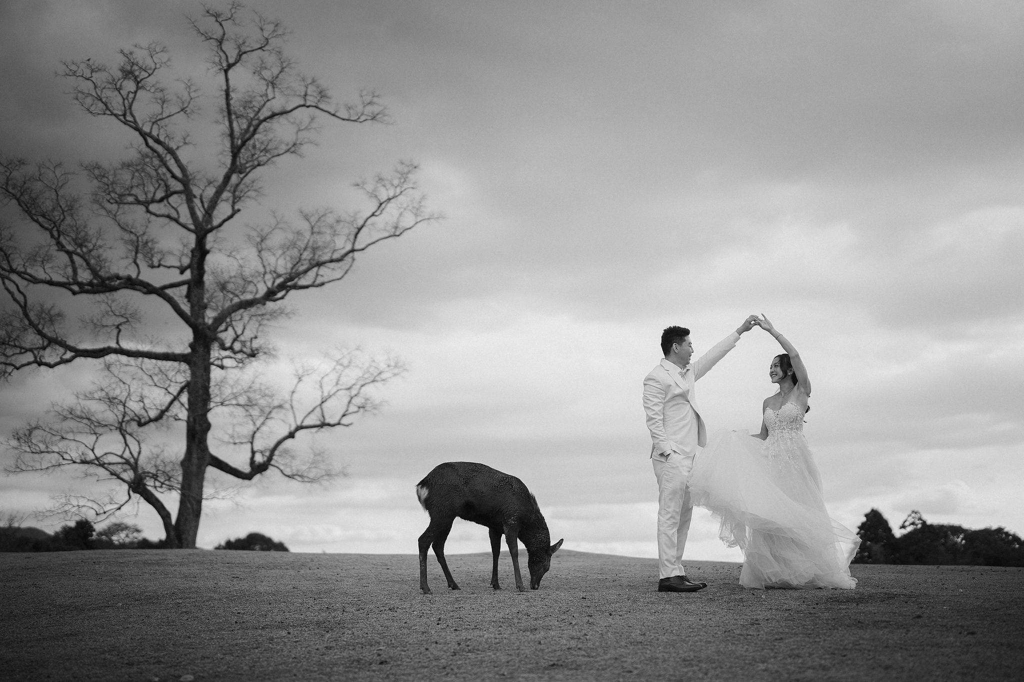Kyoto Pre-Wedding Photoshoot | Ninenzaka, Nara Deer Park & Mt. Wakakusa at Mt. Wakakusa pre-wedding photo
