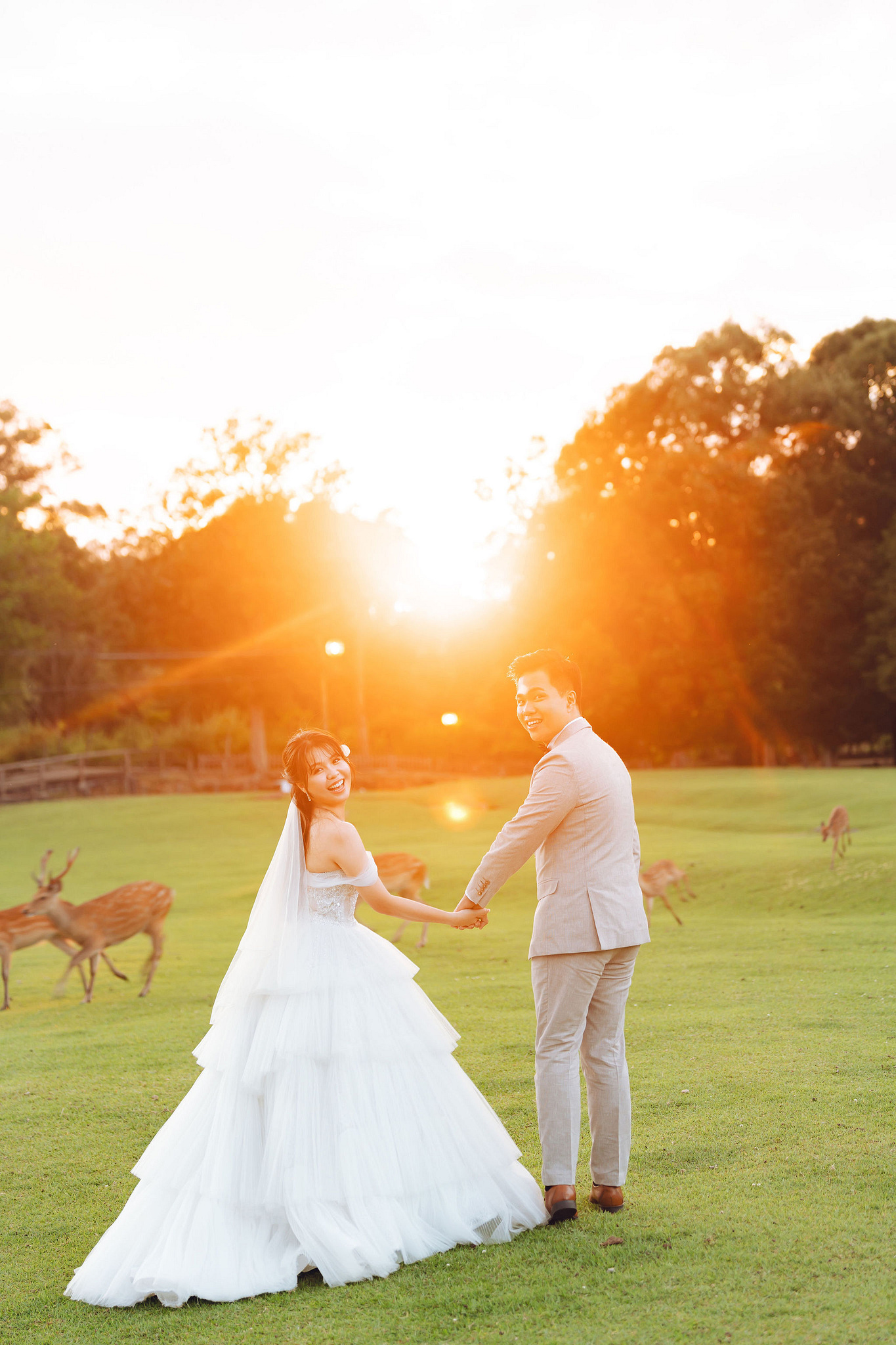 Kyoto Pre-Wedding Photoshoot | Gion Streets, Higashiyama & Nara Park at Nara Park Lawns pre-wedding photo