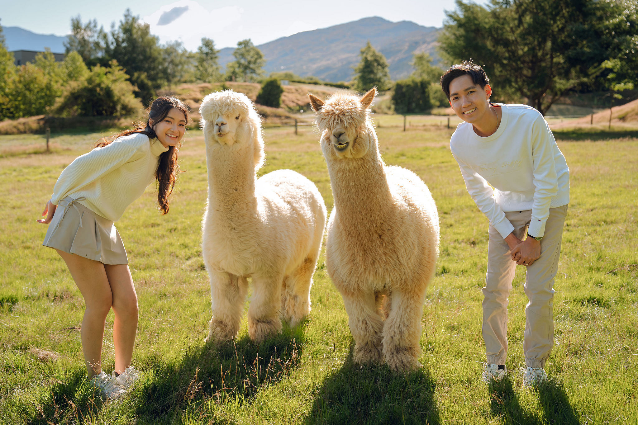New Zealand Pre-Wedding Photoshoot | Coromandel Peak, Queenstown Highway & Alpaca Farm at Alpaca Farm pre-wedding photo
