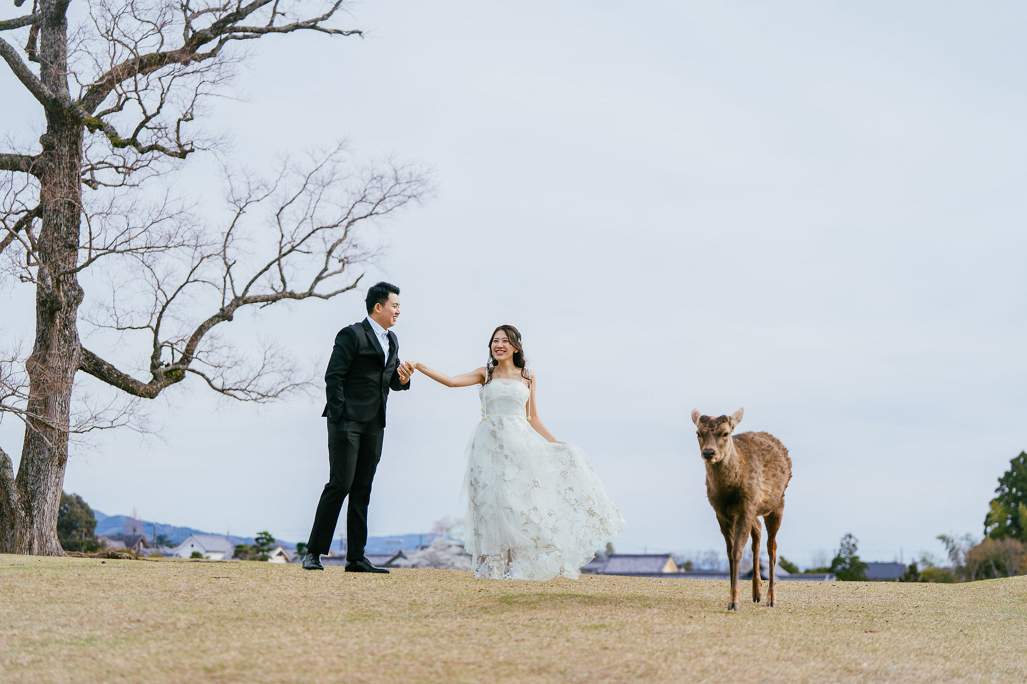 Kyoto Pre-Wedding Photoshoot | Nara Park, Gion & Mount Wakakusa at Nara Park pre-wedding photo