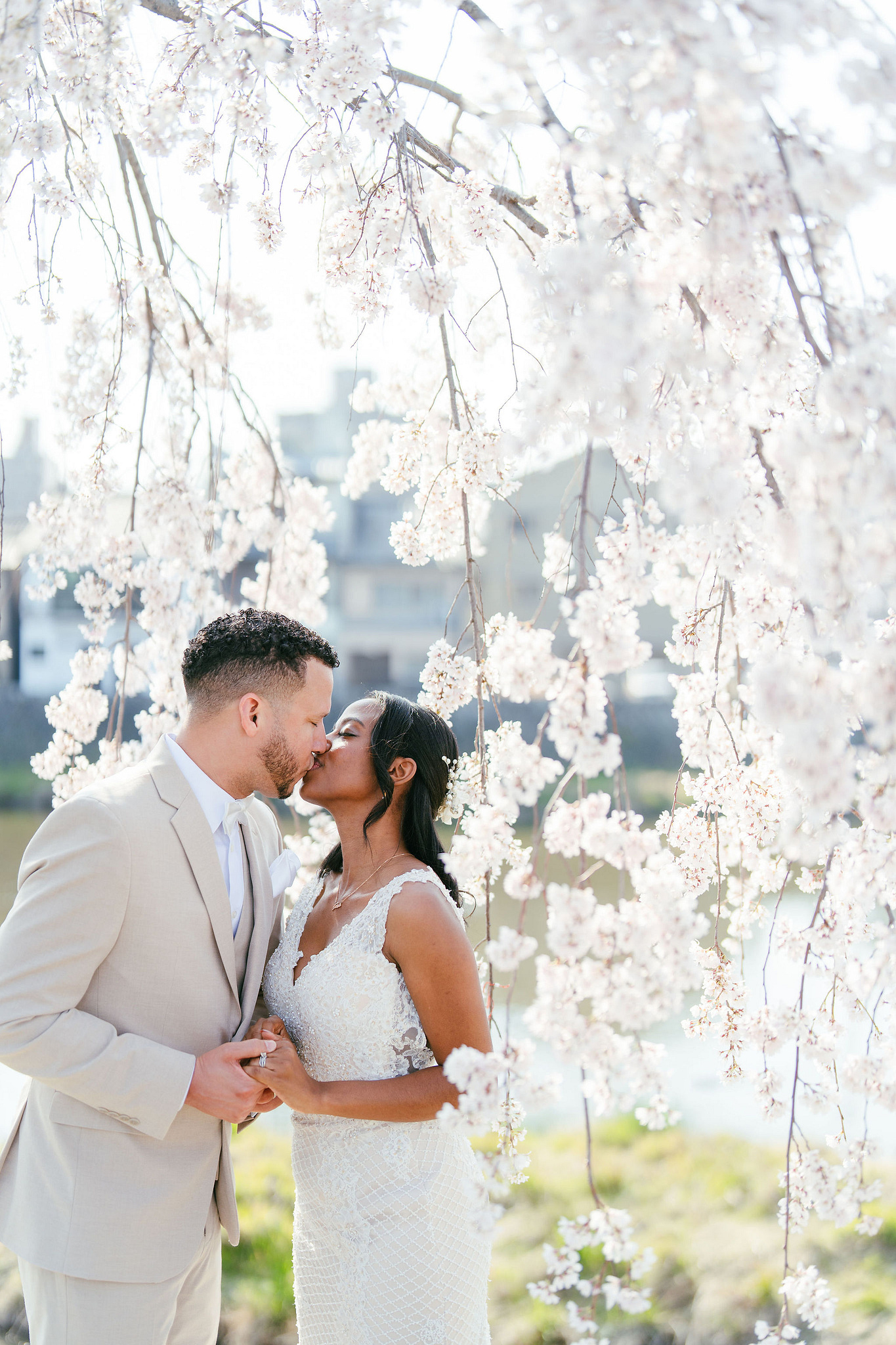 Kyoto Post-Wedding Photoshoot | Gion, Nara Deer Park & Mt. Wakakusa at Nara Deer Park pre-wedding photo